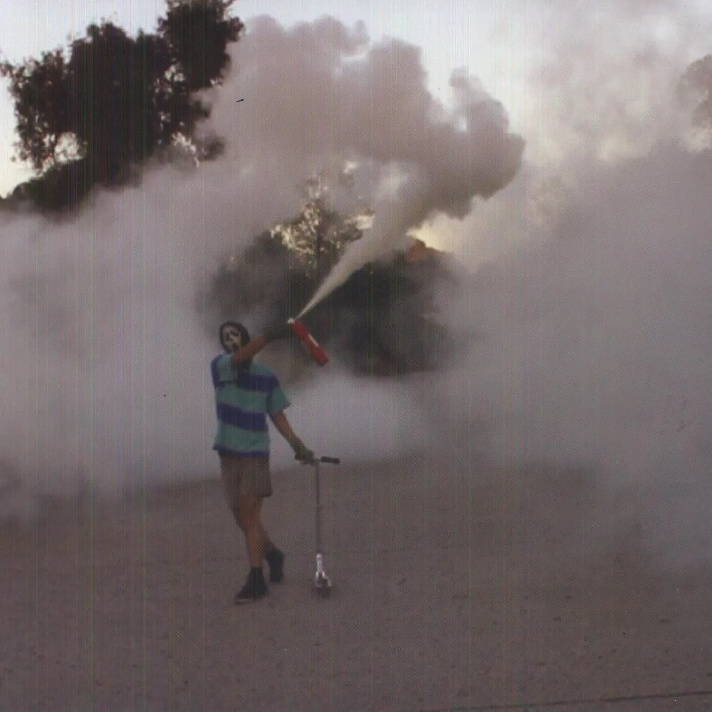 Heavy Hawaii Goosebumps Vinyl Record