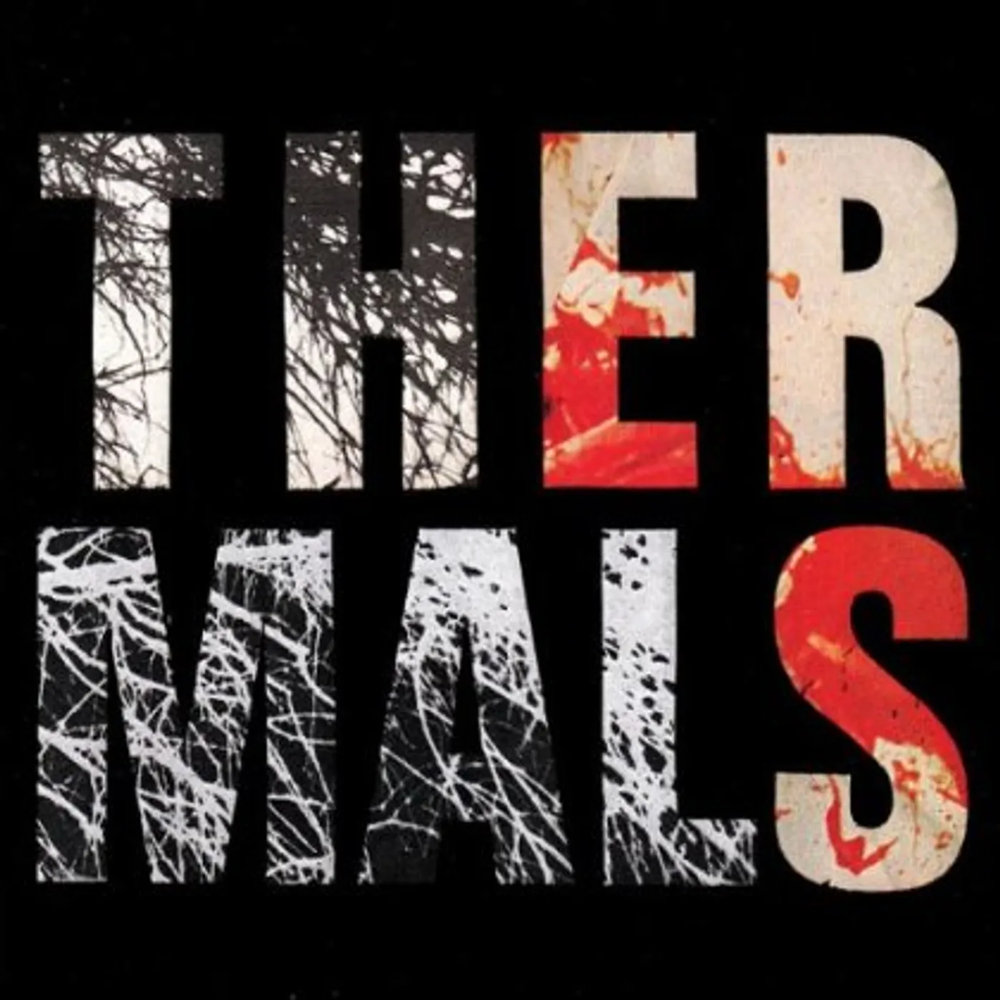 The Thermals DESPERATE GROUND CD