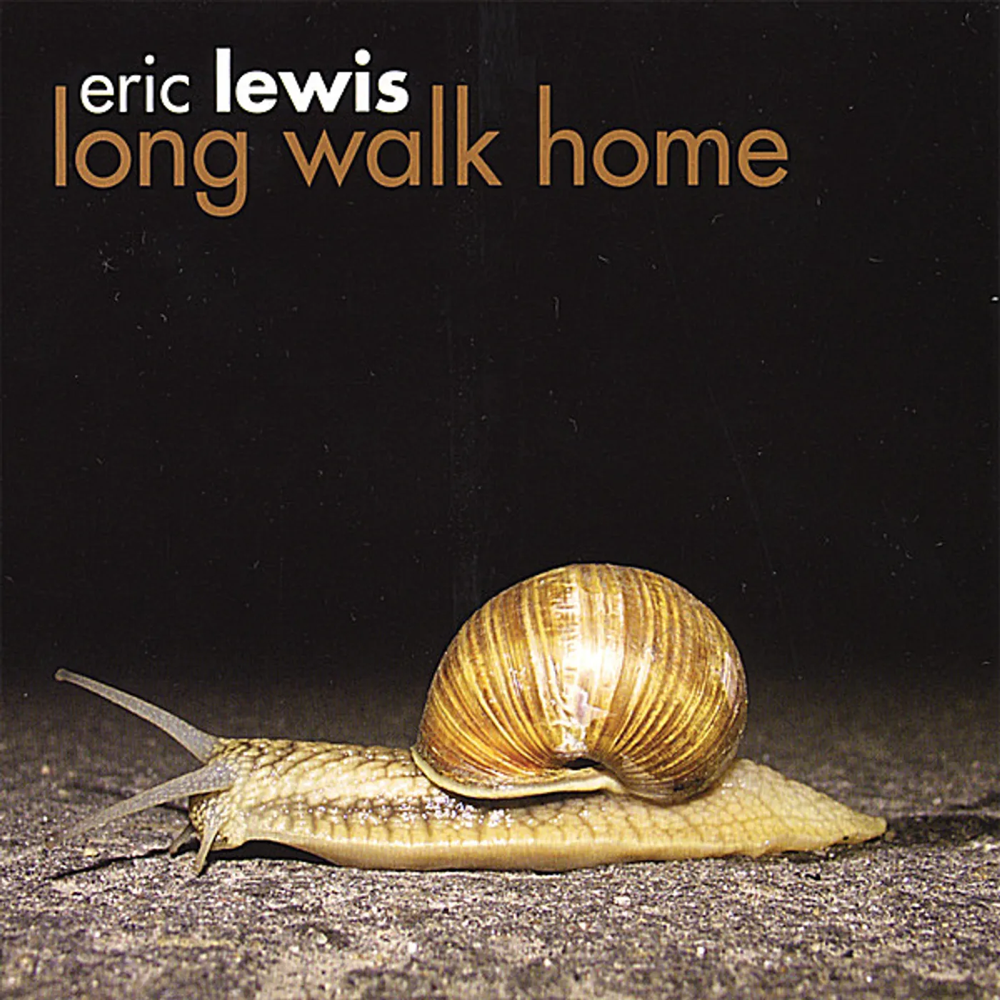 Eric Lewis LONG WALK HOME CD