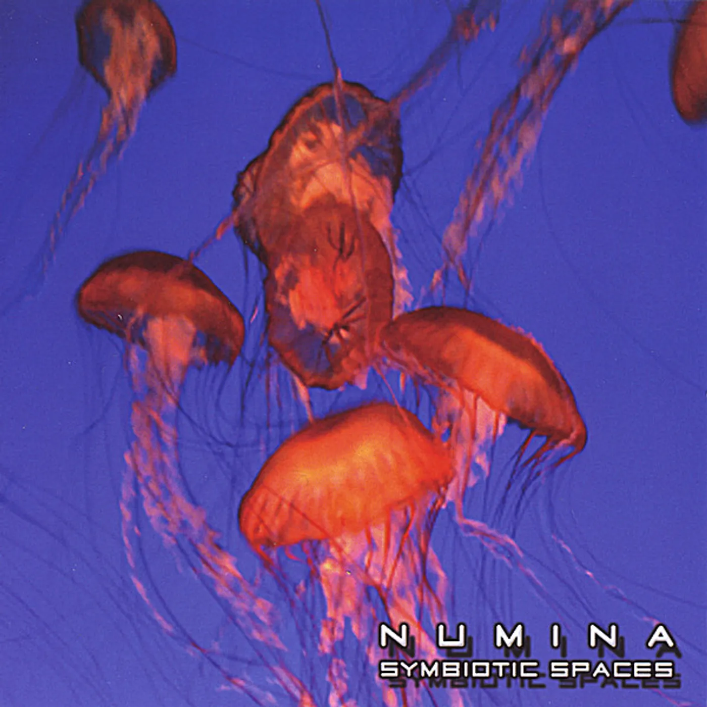 Numina SYMBIOTIC SPACES CD