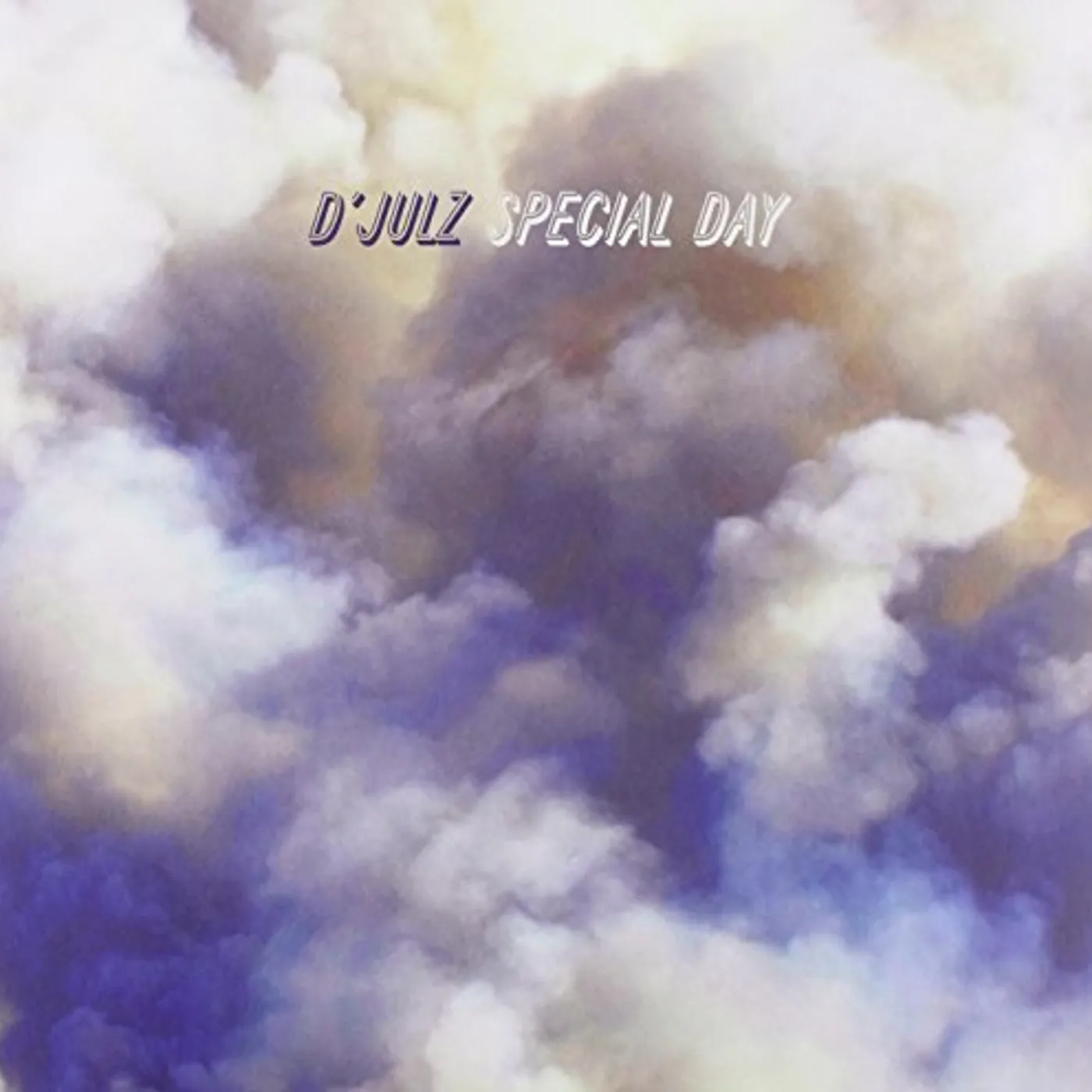 D'julz Special Day Vinyl Record