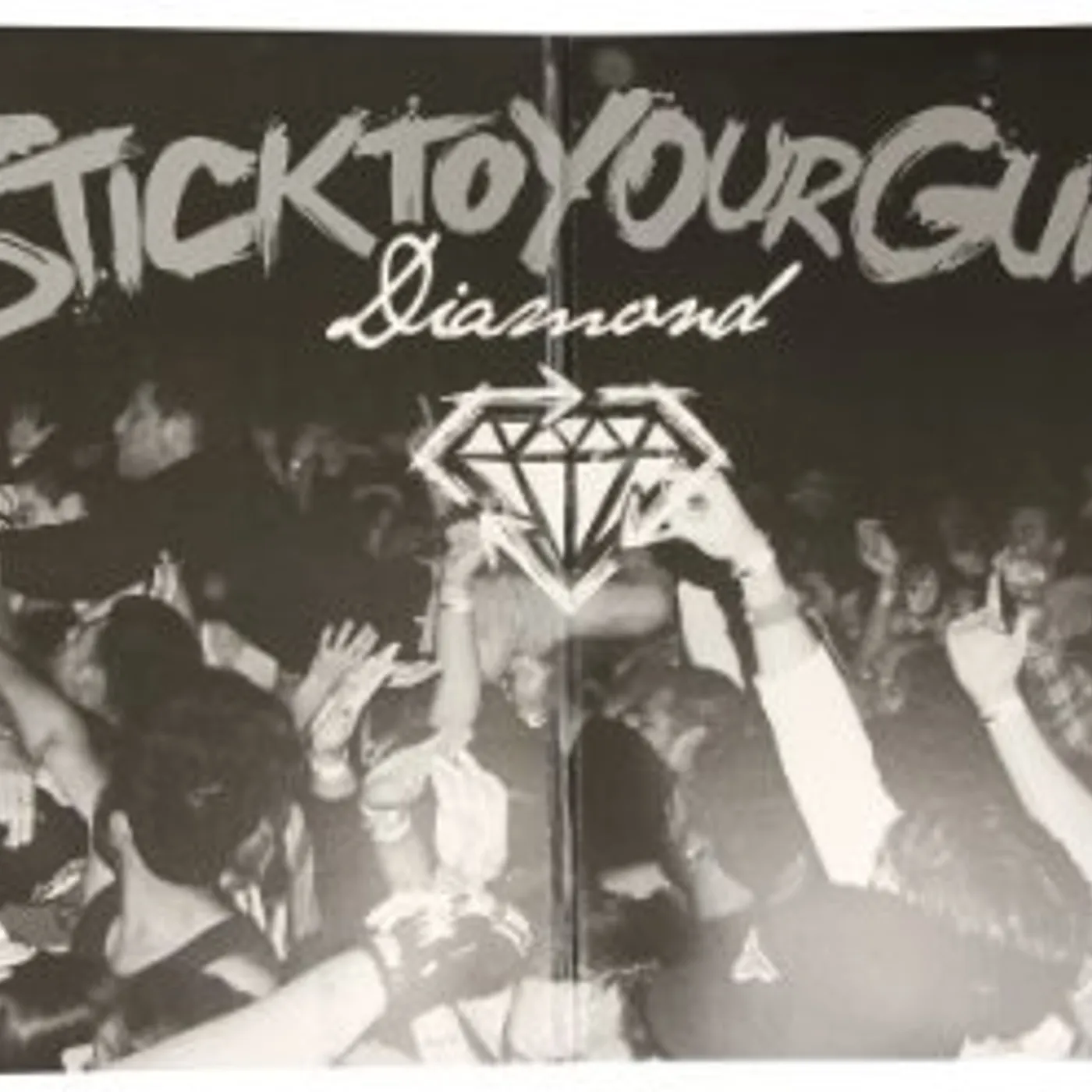Stick To Your Guns Diamond Vinyl Record
