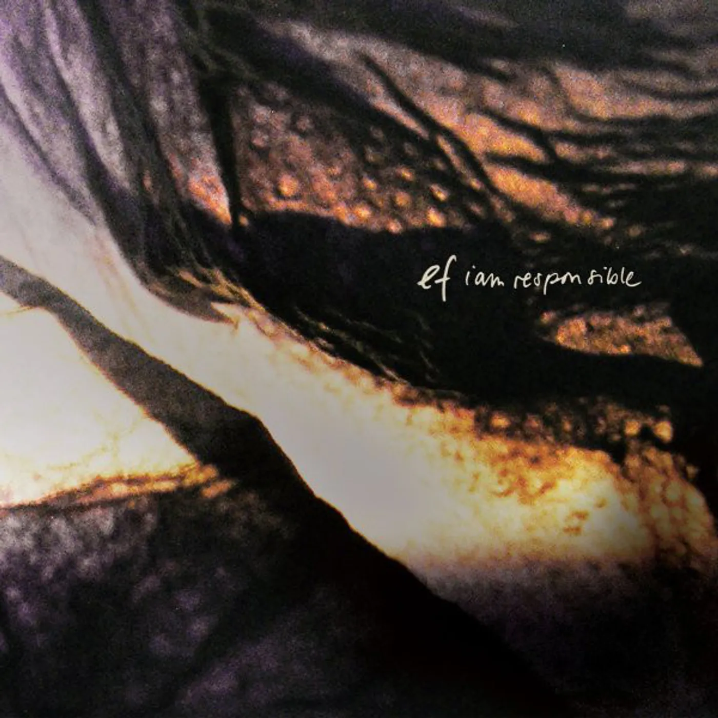 ef I AM RESPONSIBLE CD