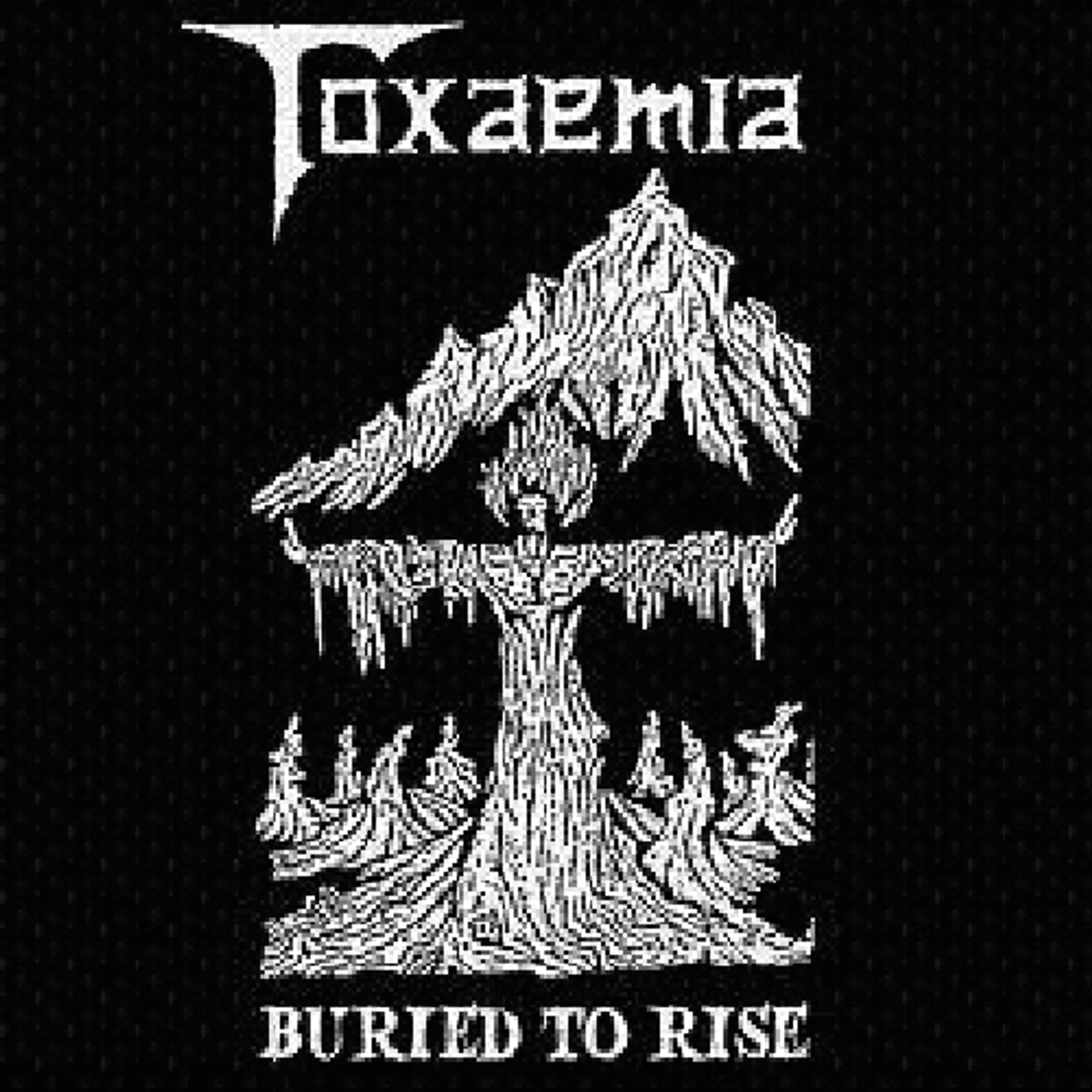 Toxaemia BURIED TO RISE CD