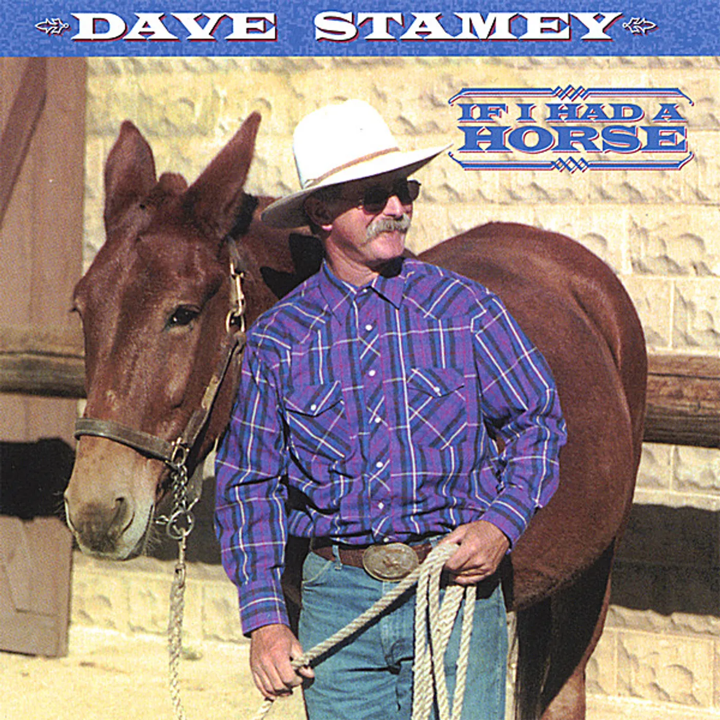 Dave Stamey IF I HAD A HORSE CD