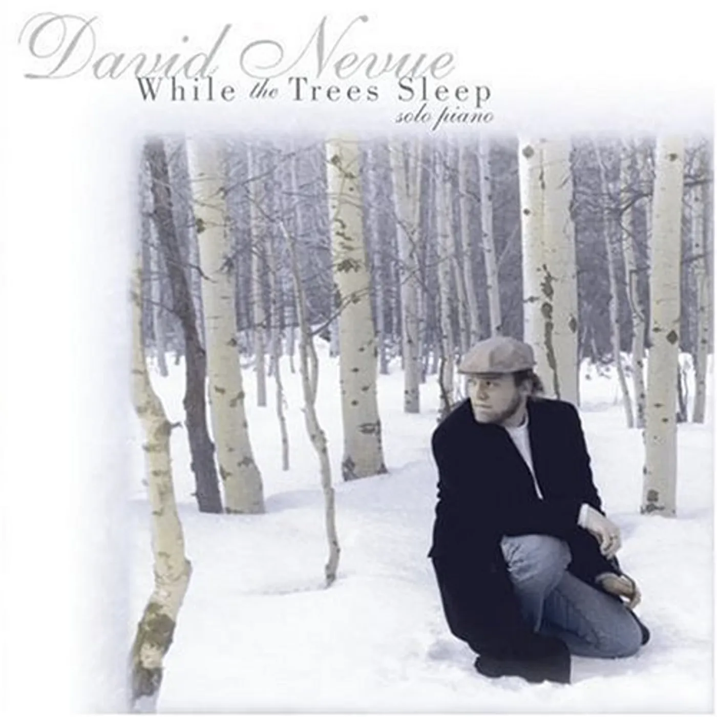David Nevue WHILE THE TREES SLEEP CD