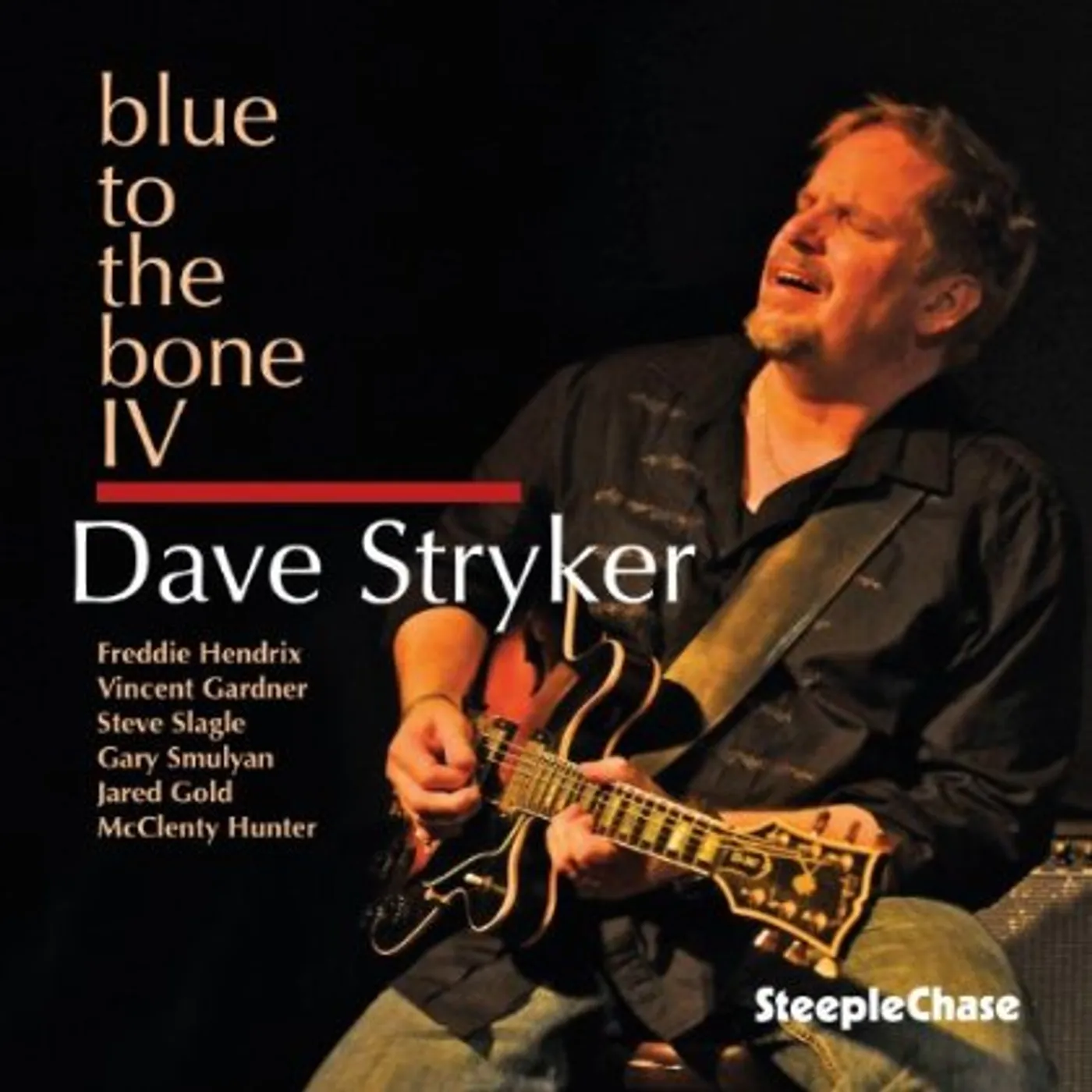 Dave Stryker BLUE TO THE BONE IV CD