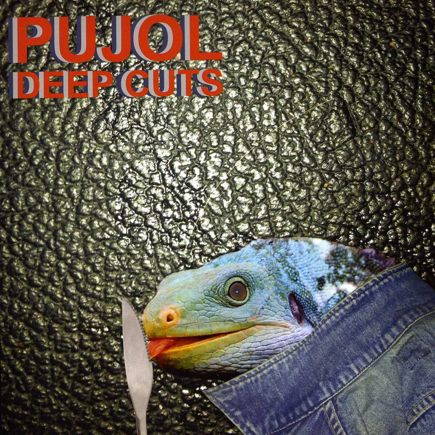 Pujol Deep Cuts Vinyl Record