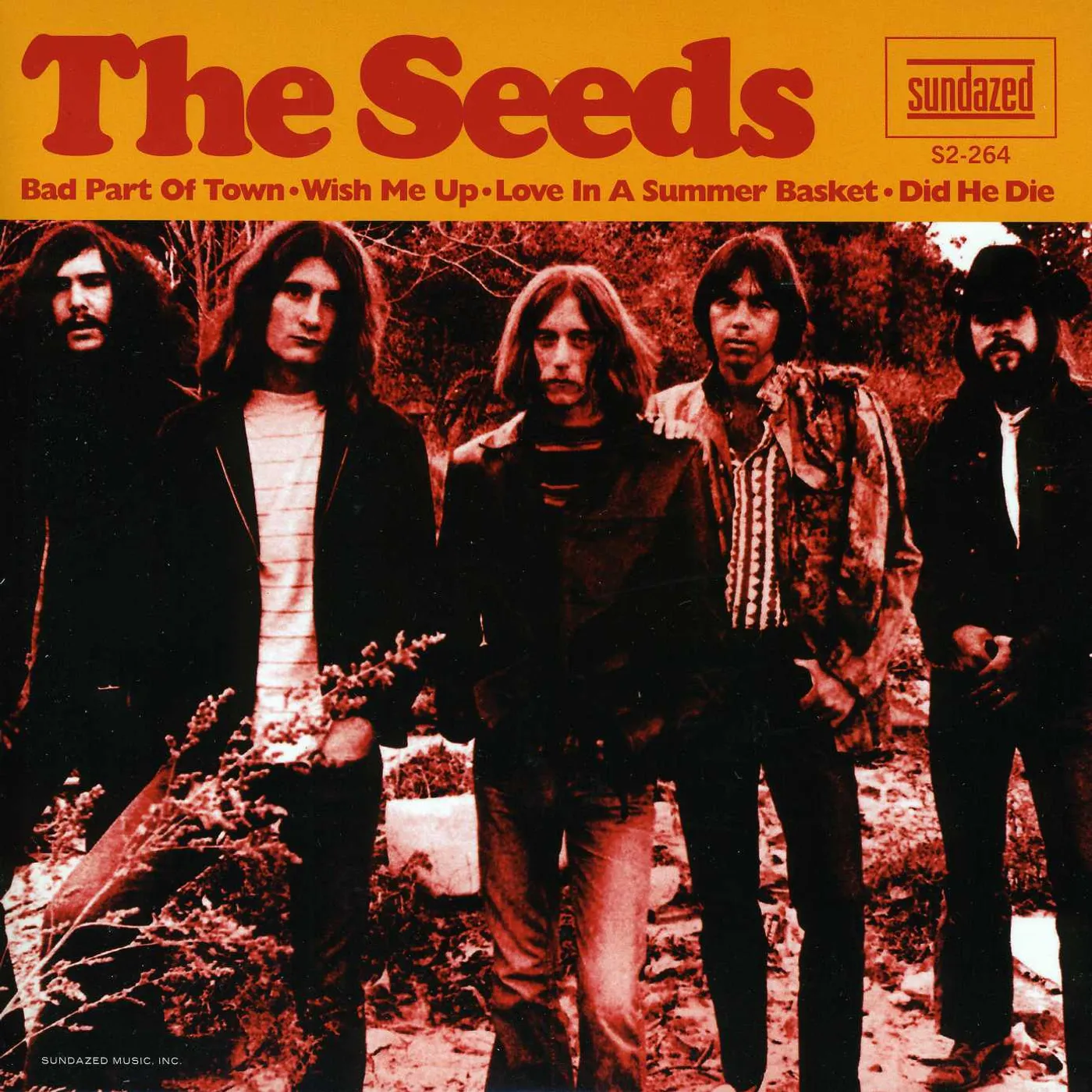 Seeds BAD PART OF TOWN Vinyl Record