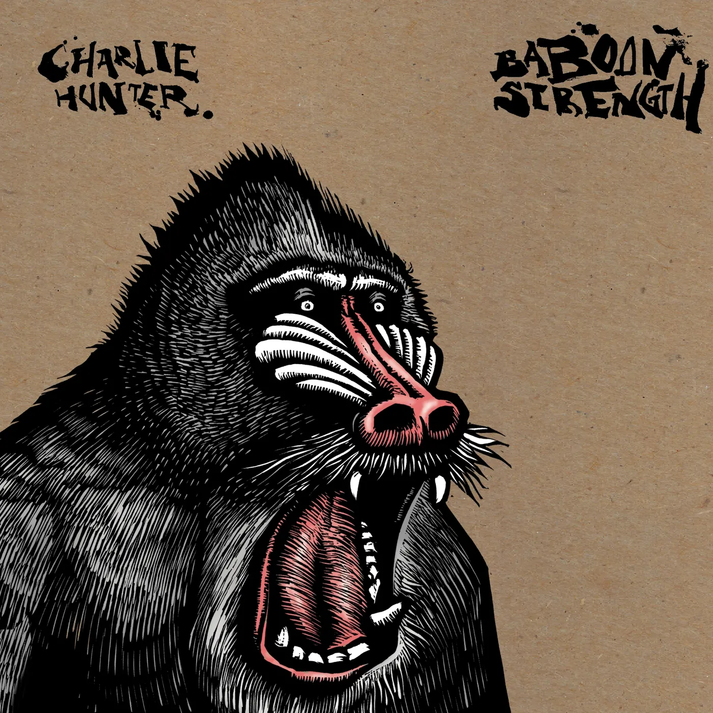 Charlie Hunter Baboon Strength Vinyl Record
