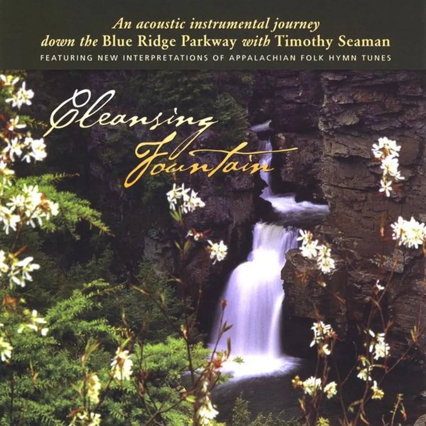 Timothy Seaman CLEANSING FOUNTAIN CD