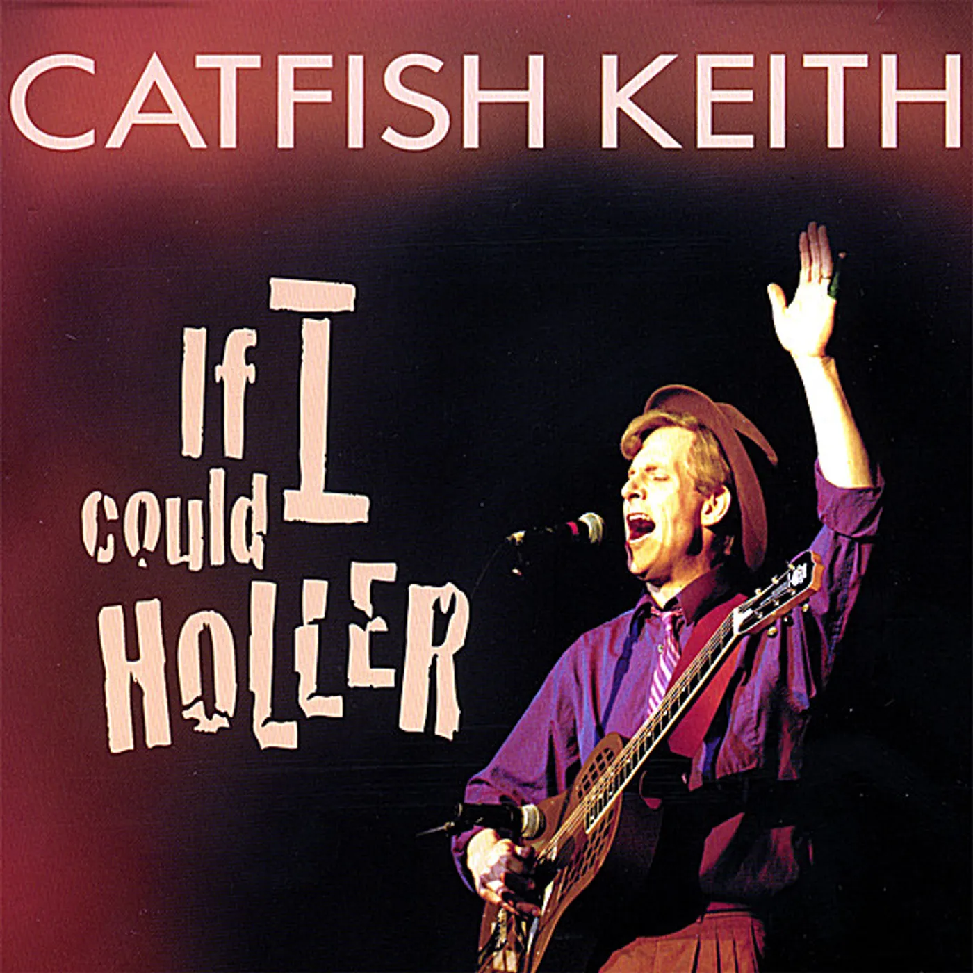 Catfish Keith IF I COULD HOLLER CD