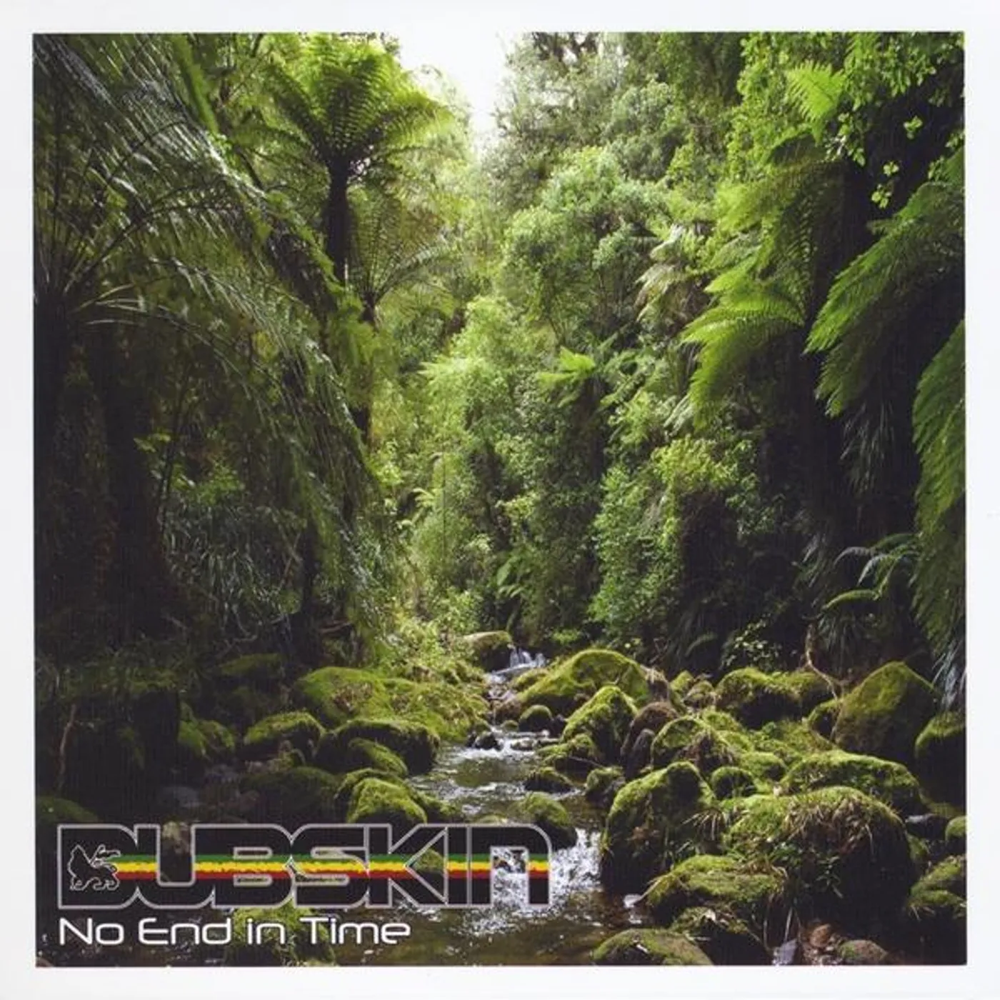 DubSkin NO END IN TIME CD