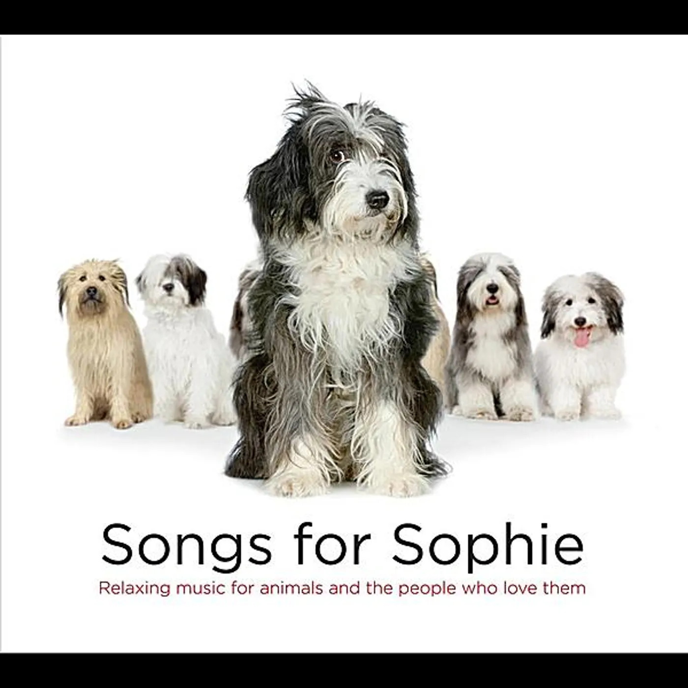 George Skaroulis SONGS FOR SOPHIE CD