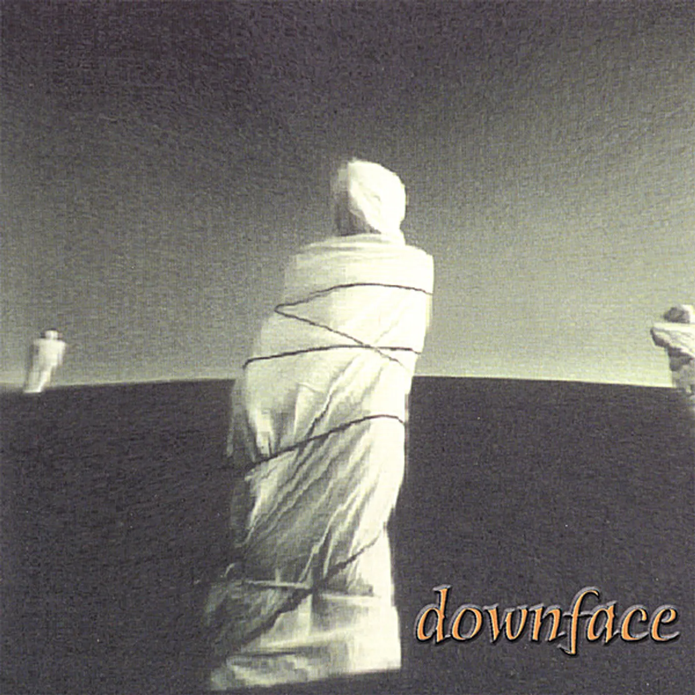 Downface WITHIN CD
