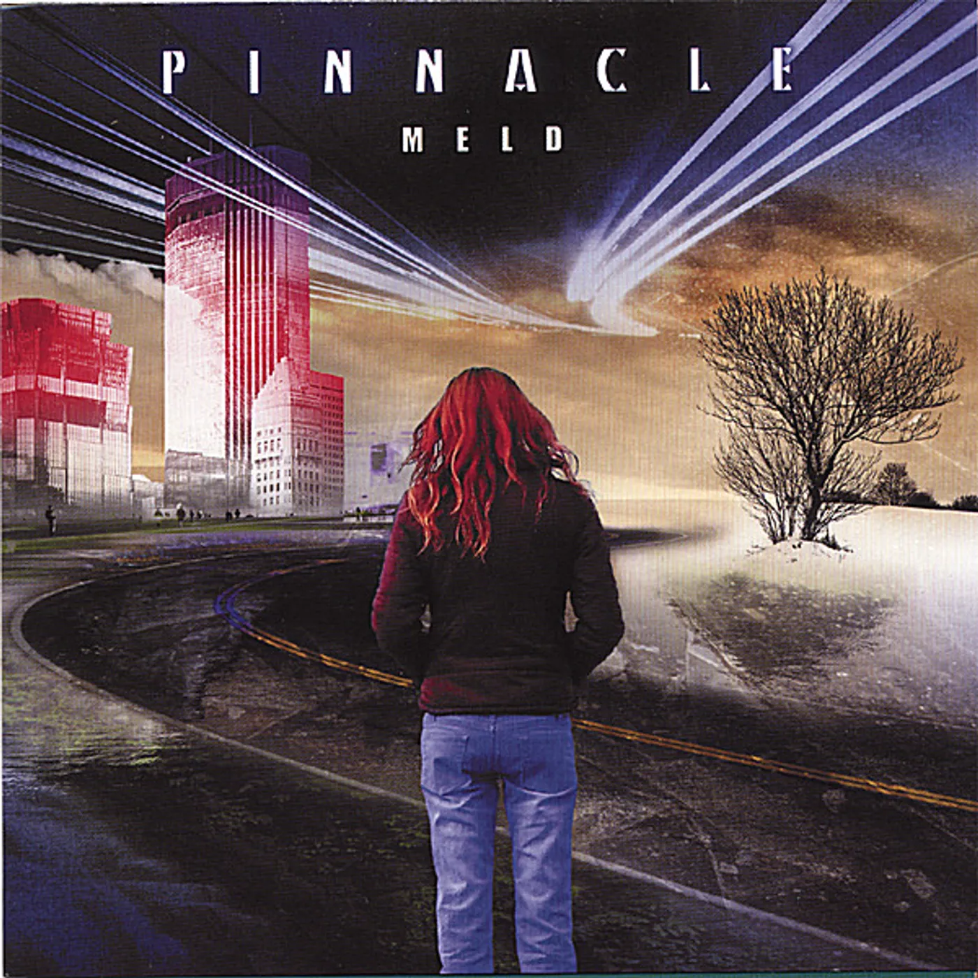 Pinnacle MELD CD
