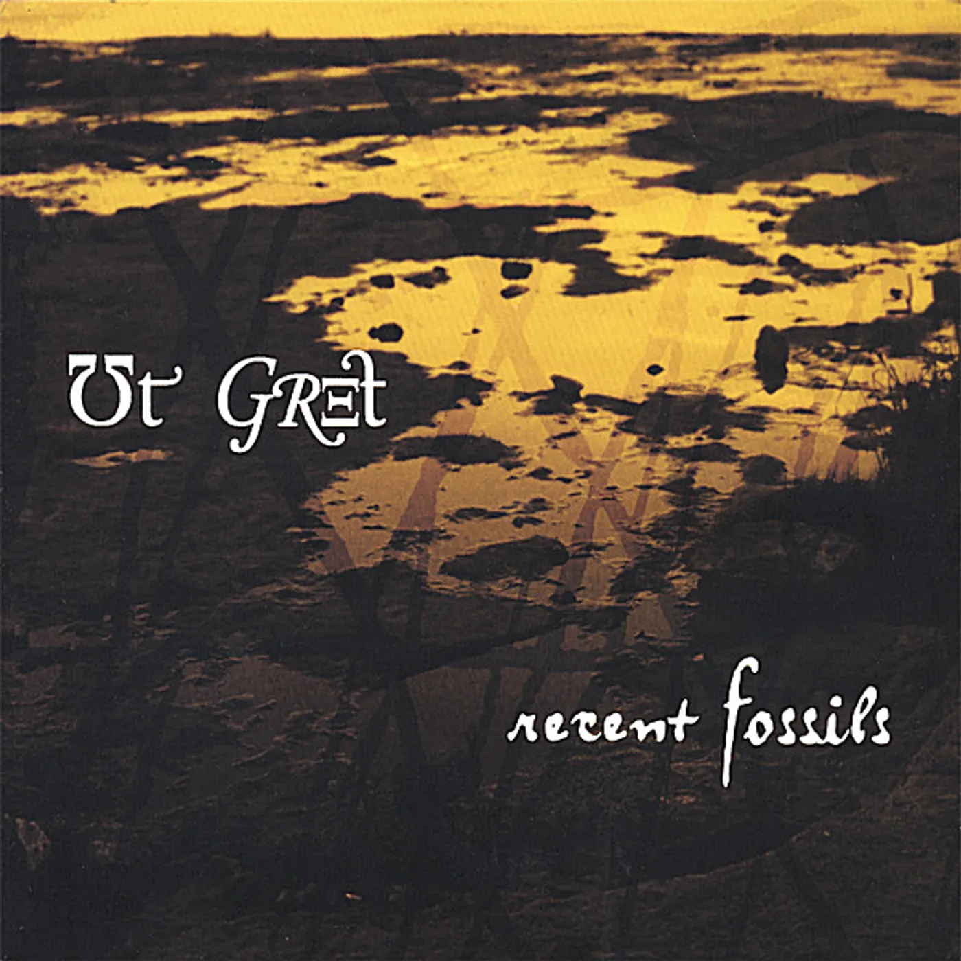 Ut Gret RECENT FOSSILS CD