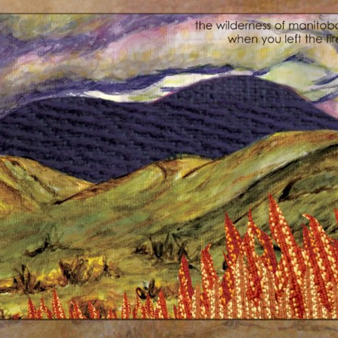 The Wilderness of Manitoba WHEN YOU LEFT THE FIRE CD