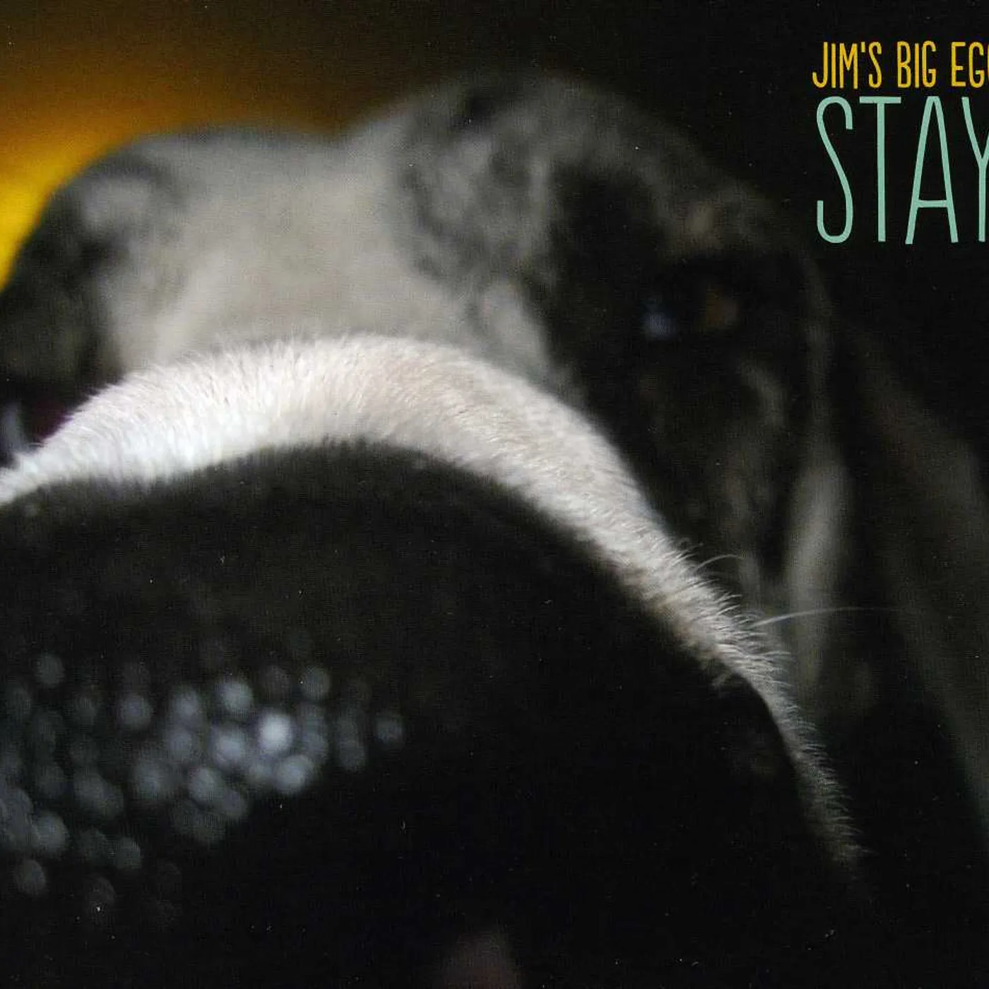 Jim's Big Ego STAY CD