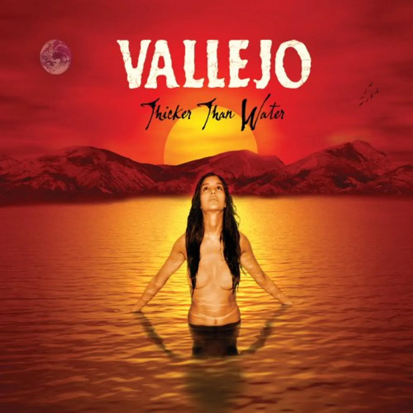 Vallejo THICKER THAN WATER CD