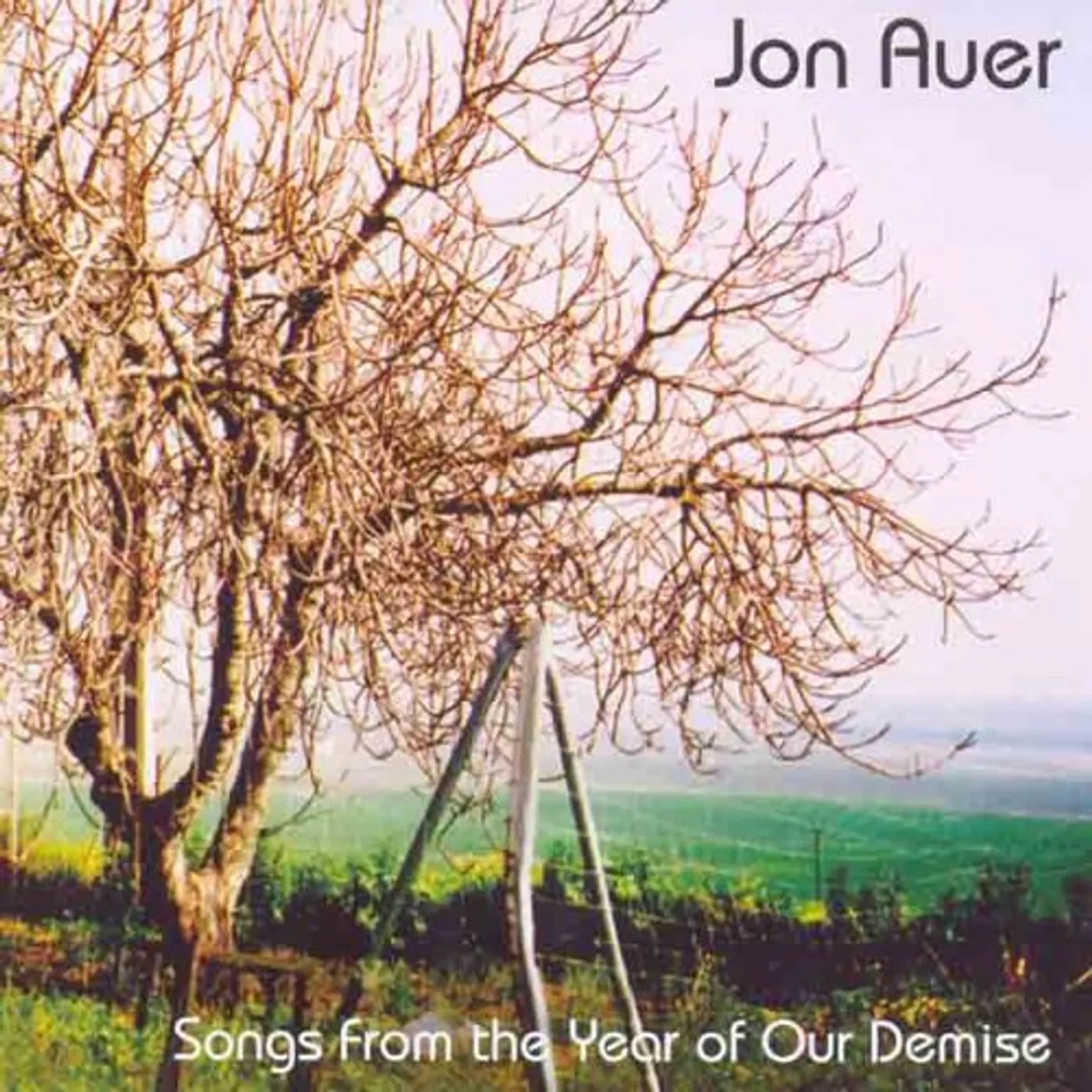 Jon Auer SONGS FROM THE YEAR OF OUR DEMISE CD
