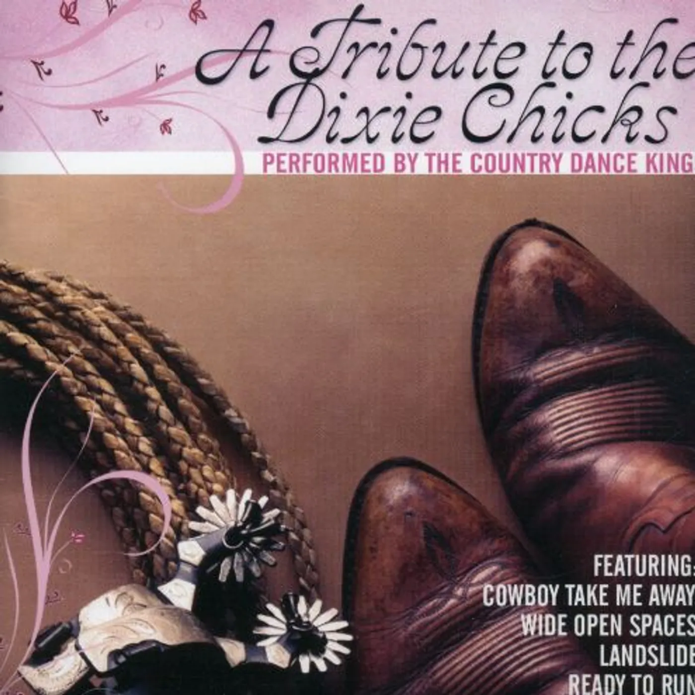 Country Dance Kings TRIBUTE TO THE DIXIE CHICKS CD