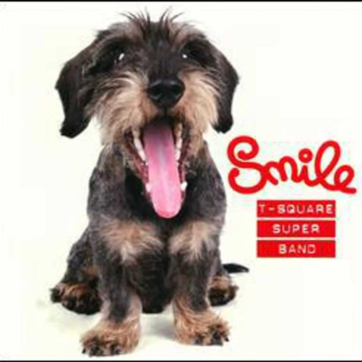 T-SQUARE SUPER BAND SMILE CD Super Audio CD