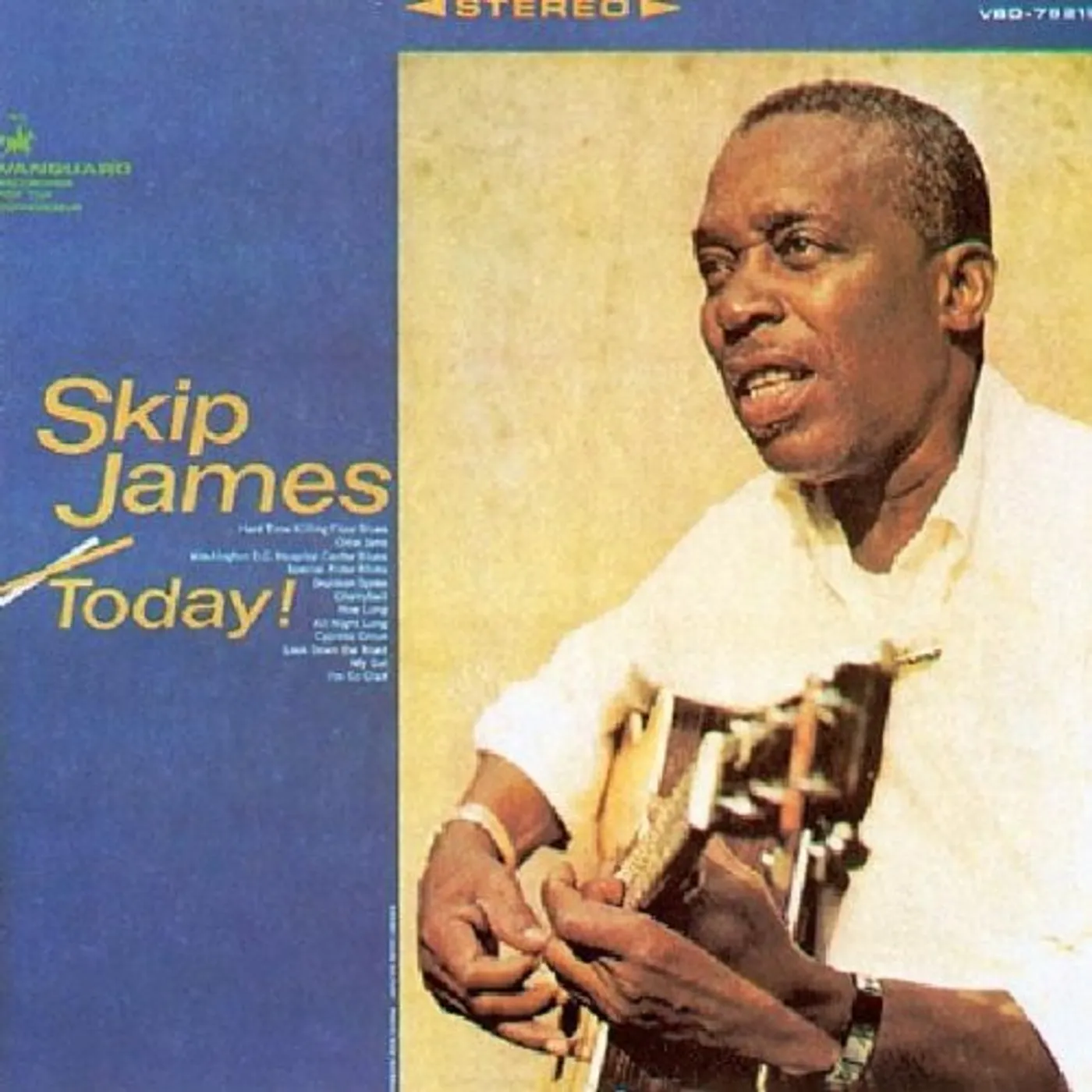 SKIP JAMES CD