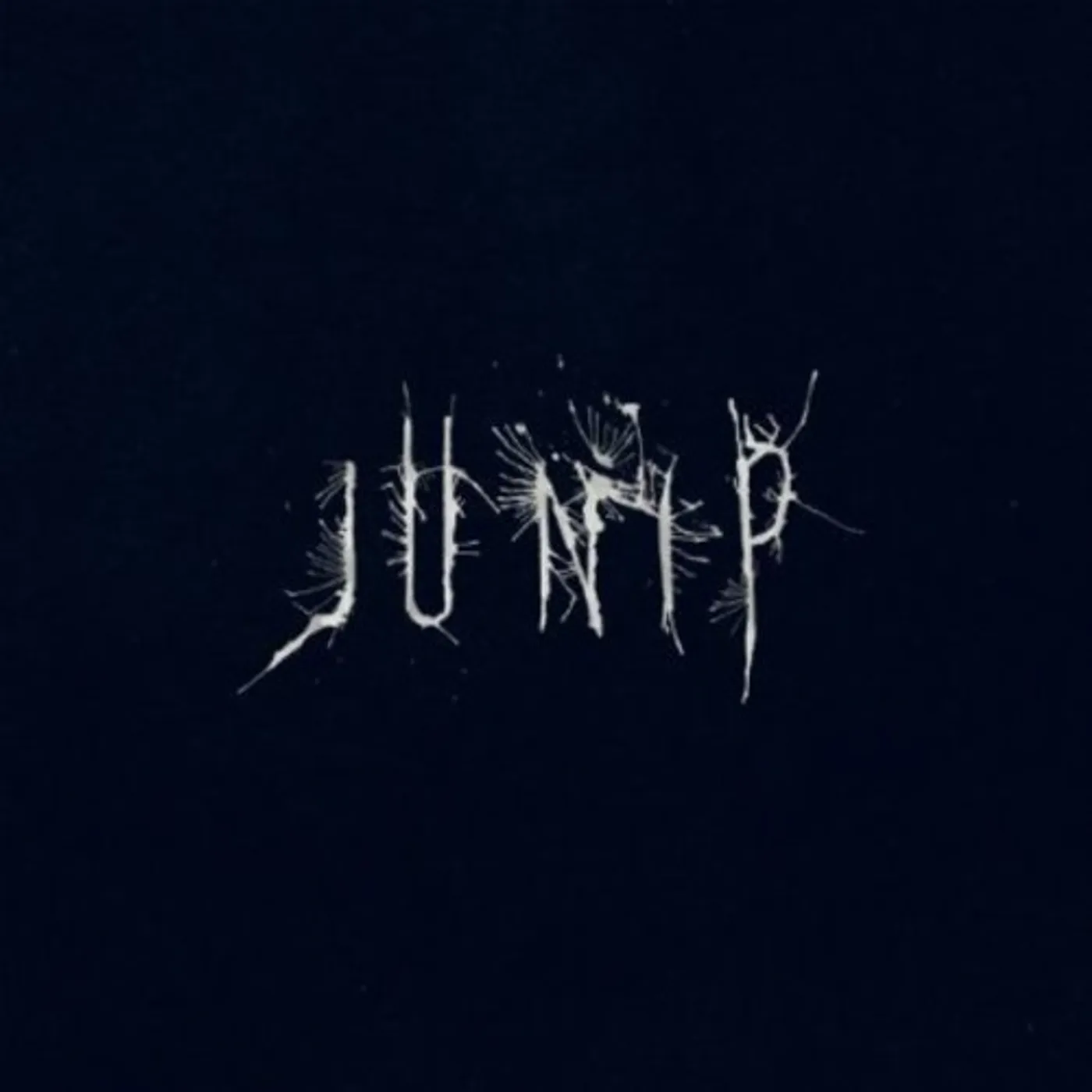 Junip Vinyl Record