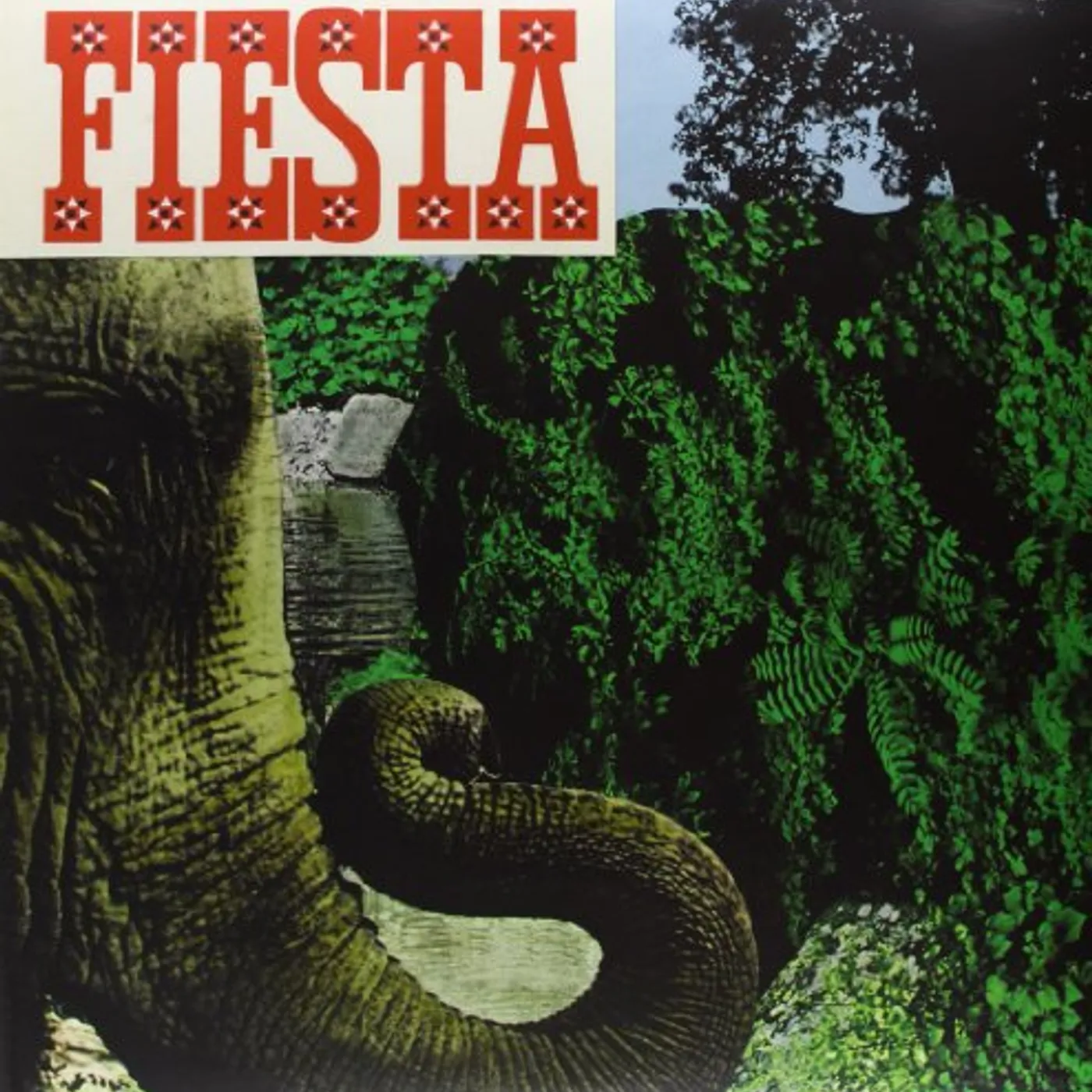 The Go Fiesta Vinyl Record