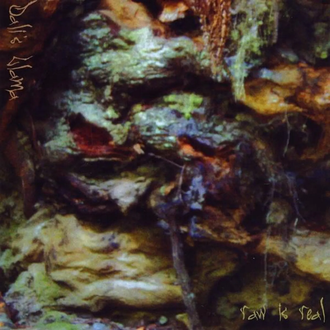 Dali's Llama RAW IS REAL CD