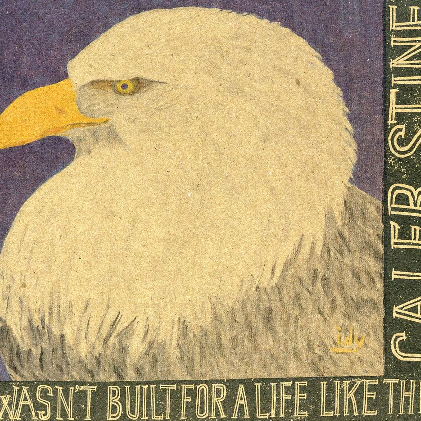 Caleb Stine I WASN'T BUILT FOR A LIFE LIKE THIS CD