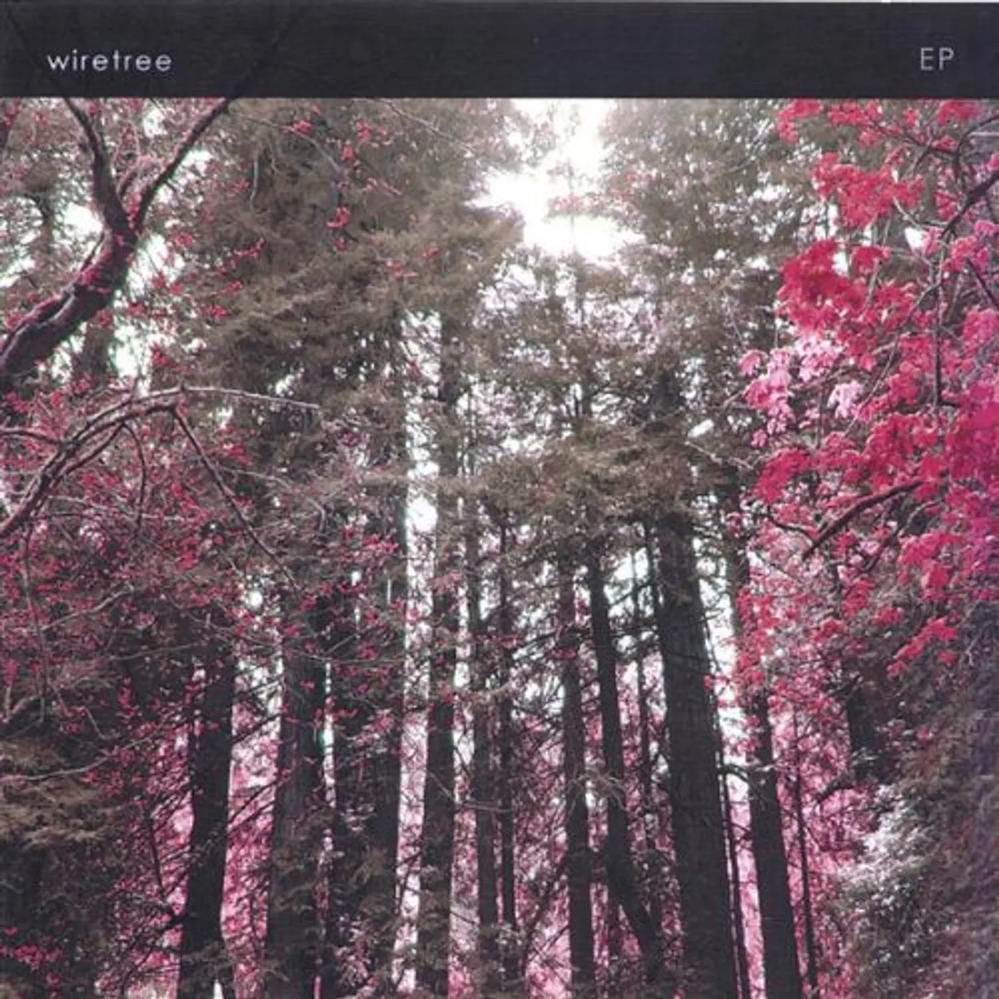 Wiretree EP CD