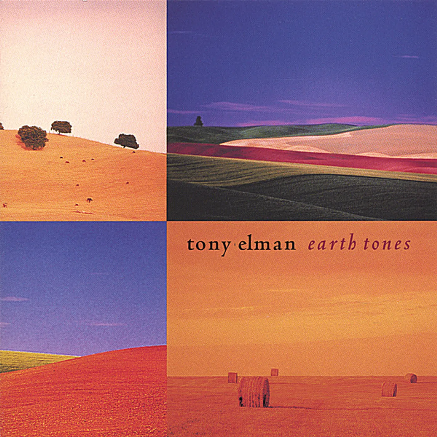 Tony Elman EARTHTONES CD