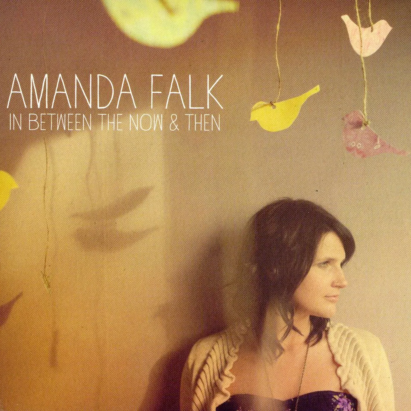 Amanda Falk IN BETWEEN THE NOW & THEN CD