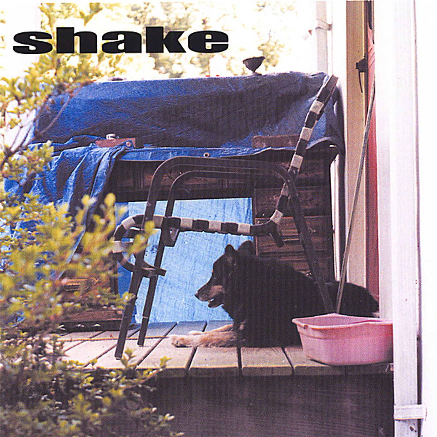 SHAKE CD