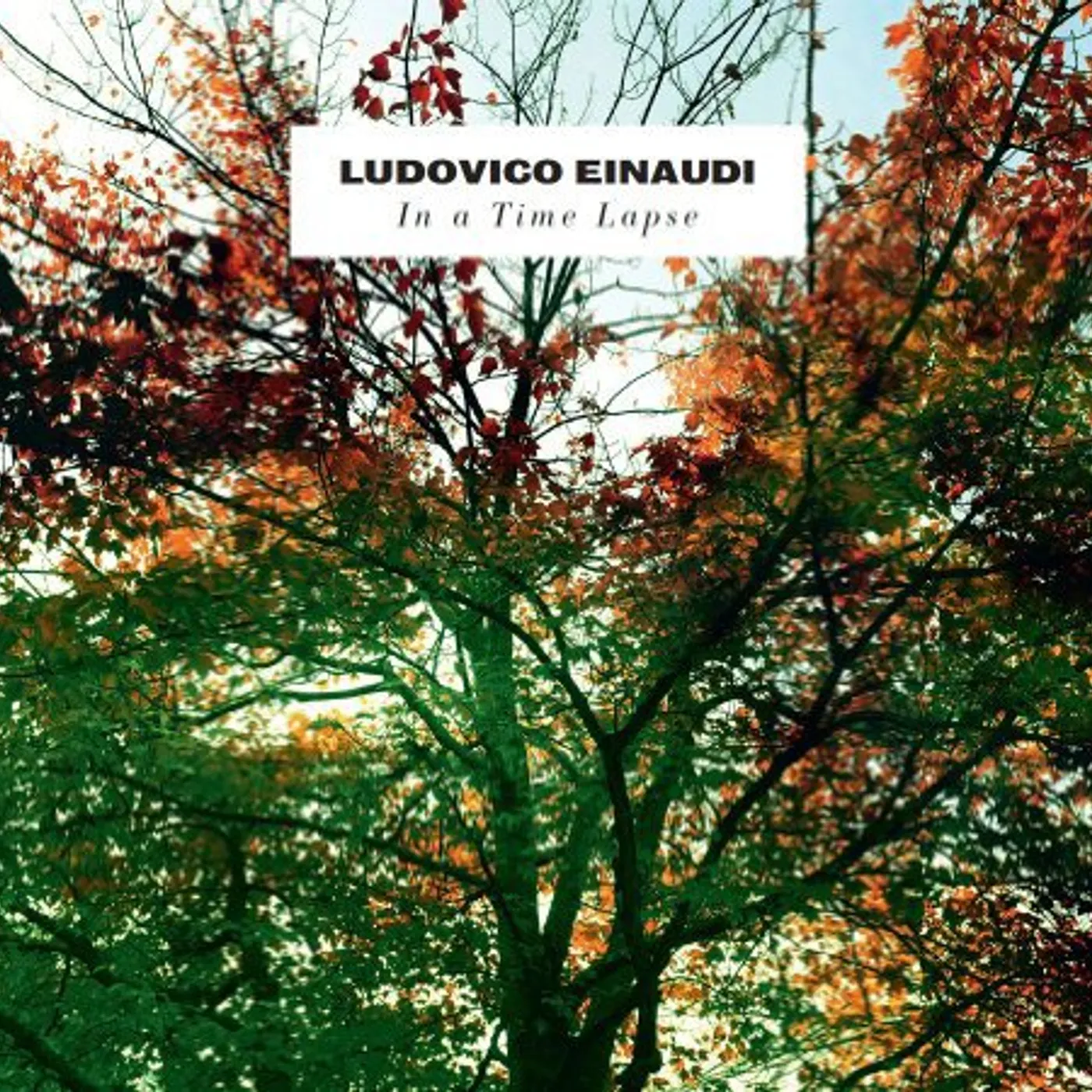 Ludovico Einaudi In A Time Lapse Vinyl Record
