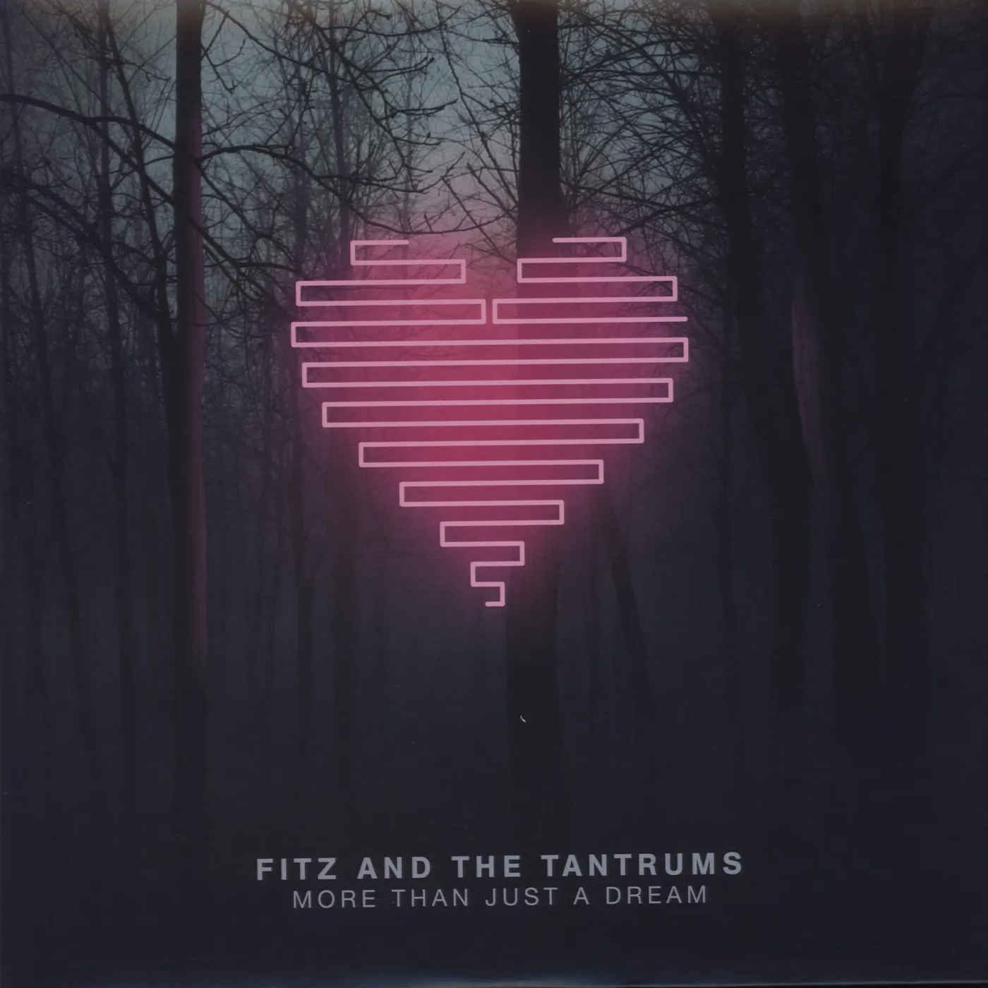 Fitz and The Tantrums More Than Just A Dream Vinyl Record