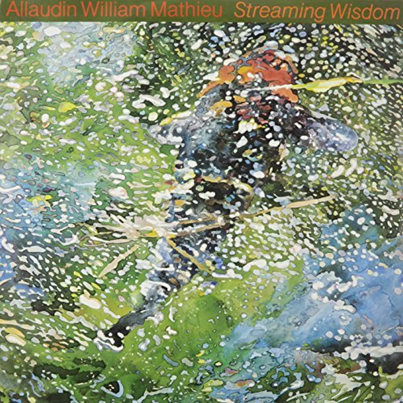 William Mathieu Streaming Wisdom Vinyl Record