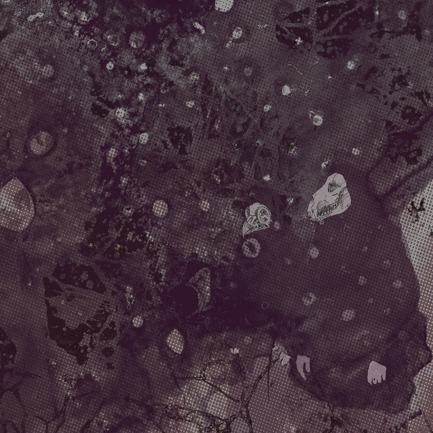 Pinkish Black Razed to the Ground Vinyl Record