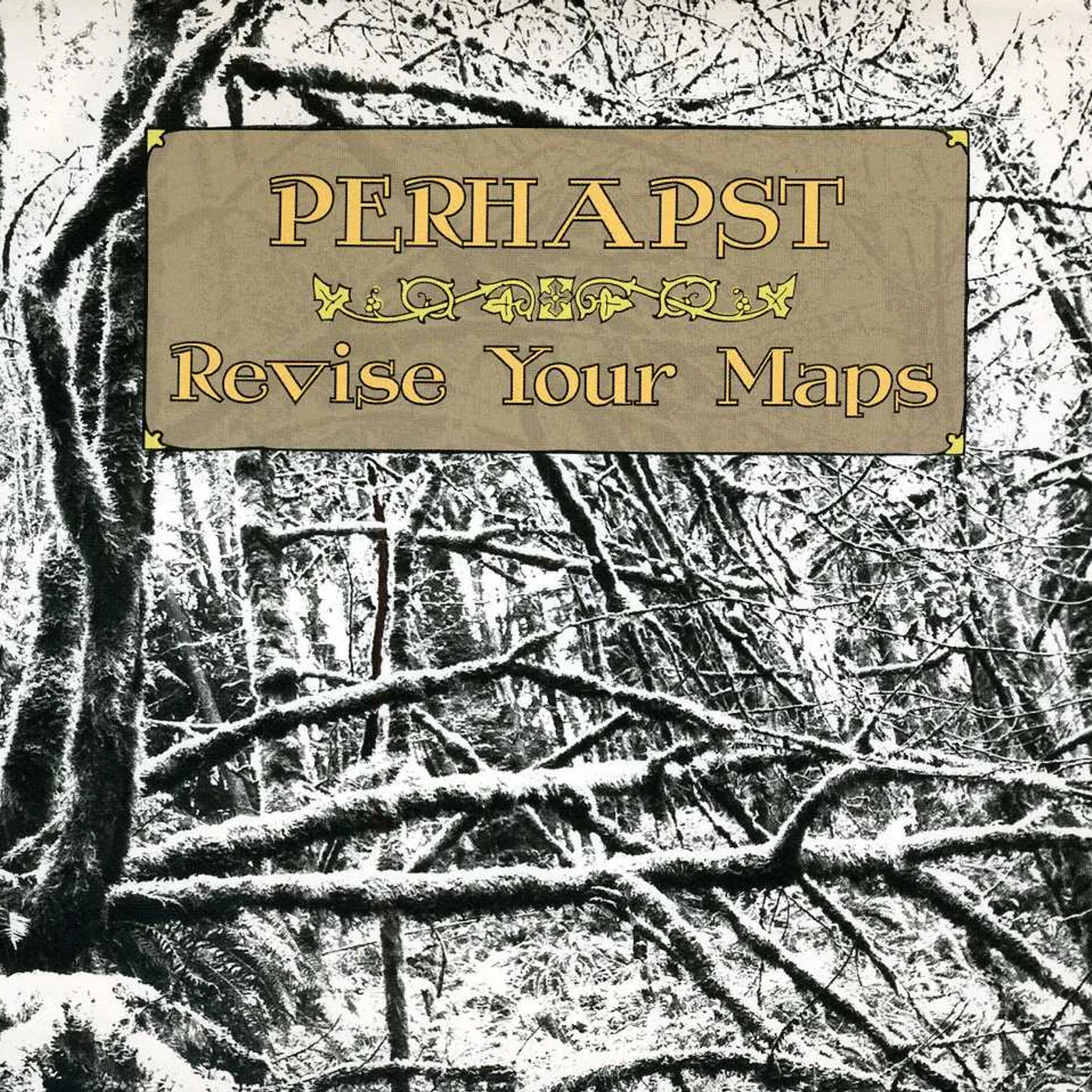 Perhapst REVISE YOUR MAPS CD
