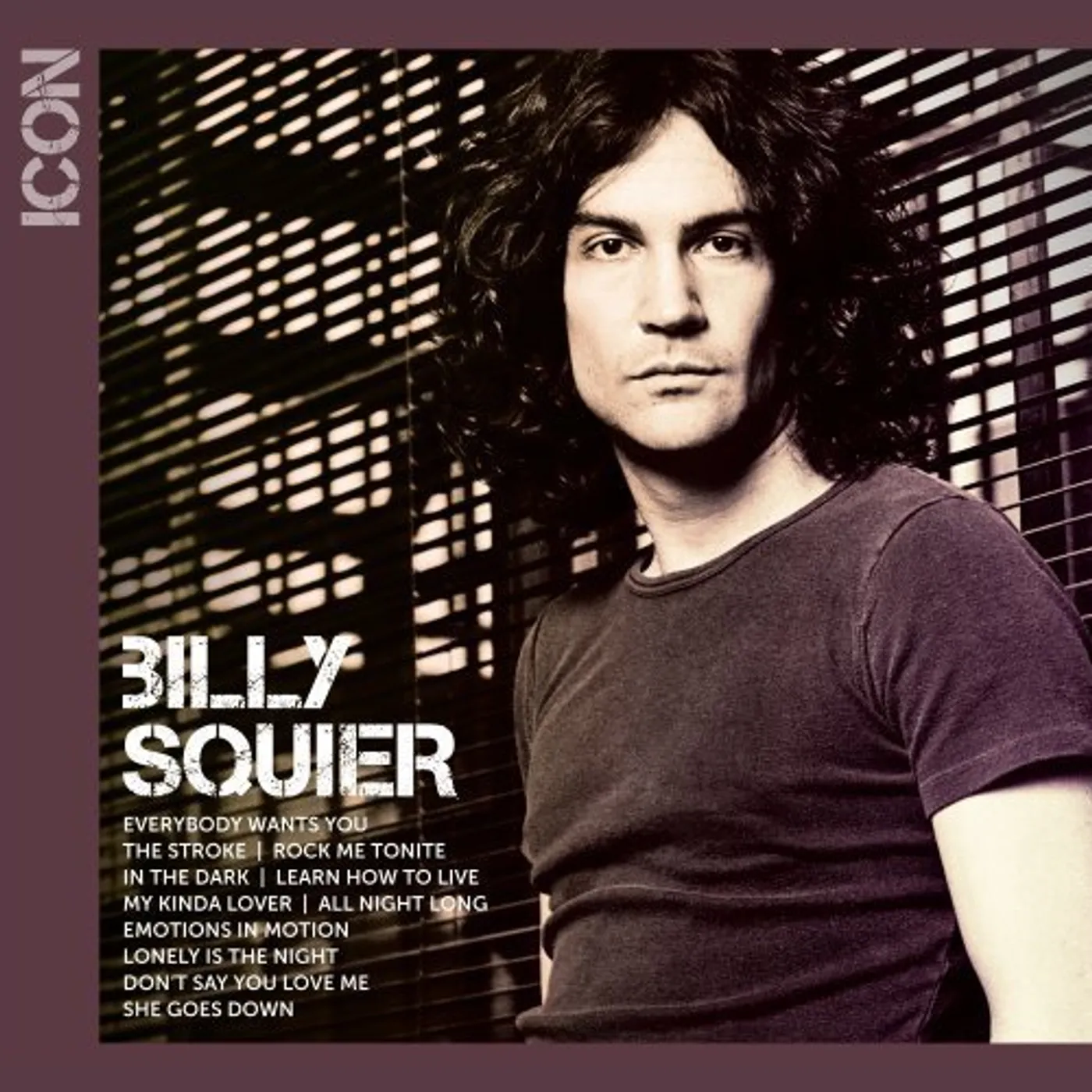 Billy Squier ICON CD