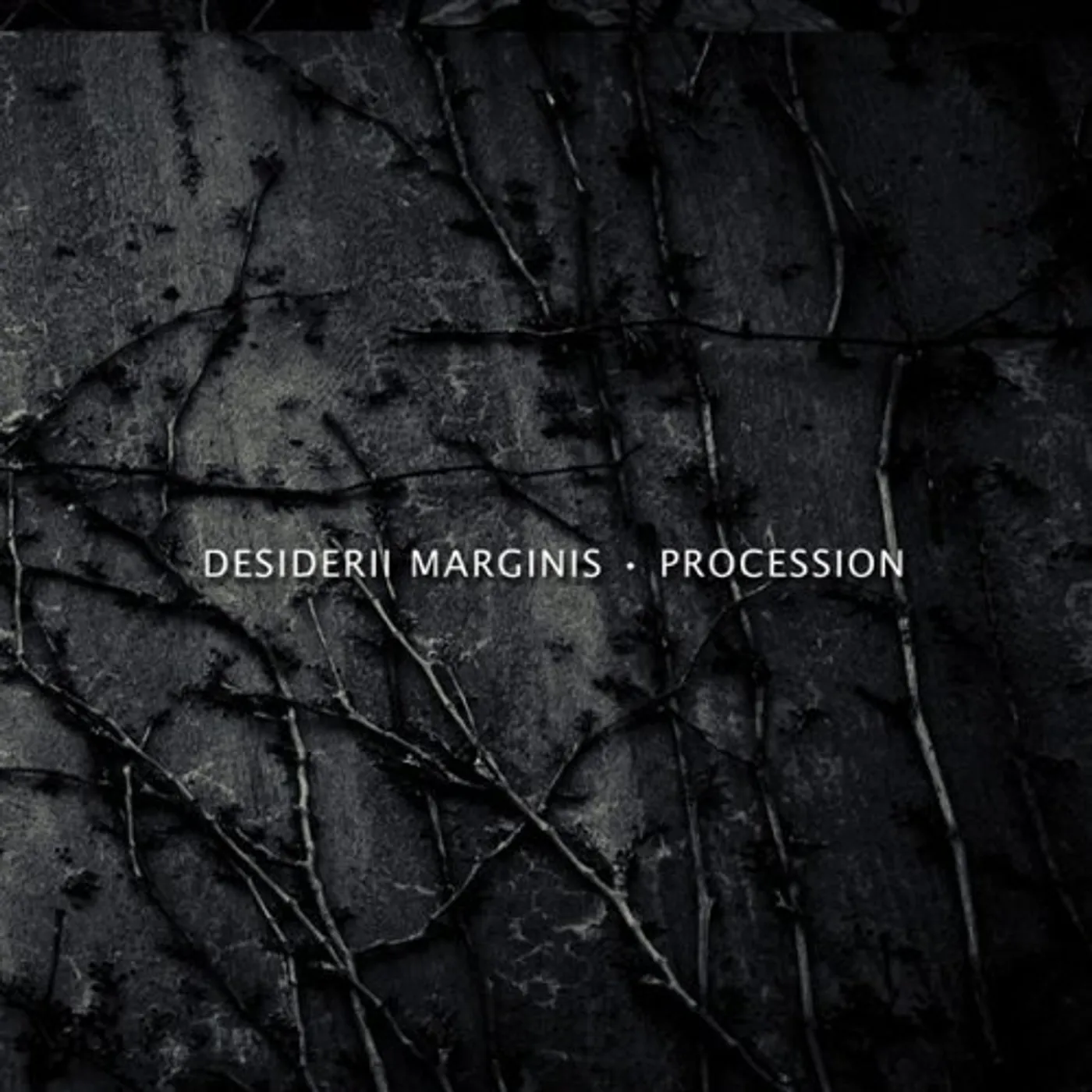 Desiderii Marginis Procession Vinyl Record
