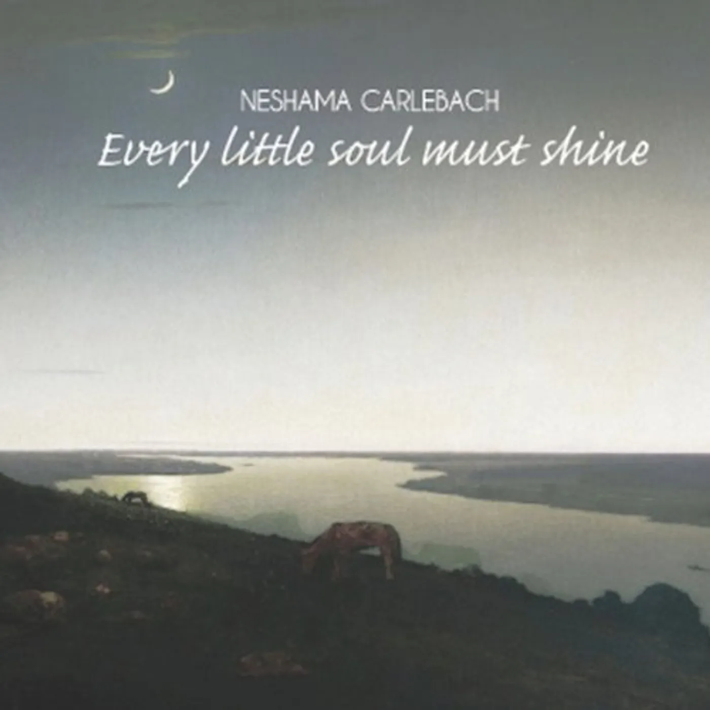 Neshama Carlebach EVERY LITTLE SOUL MUST SHINE CD