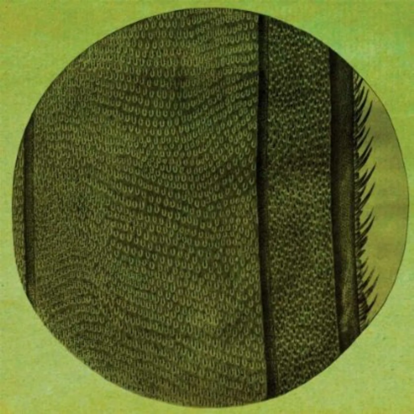 Micah Blue Smaldone RING OF THE RISE Vinyl Record