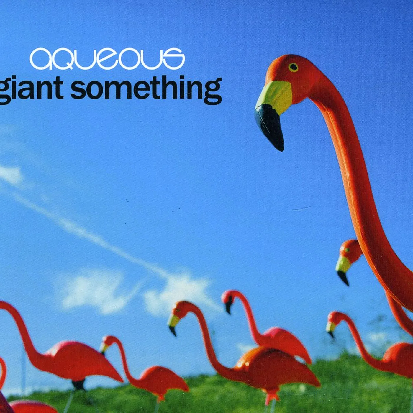 Aqueous GIANT SOMETHING CD