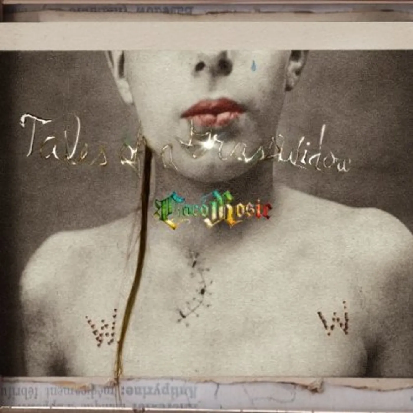 CocoRosie TALES OF A GRASSWIDOW CD