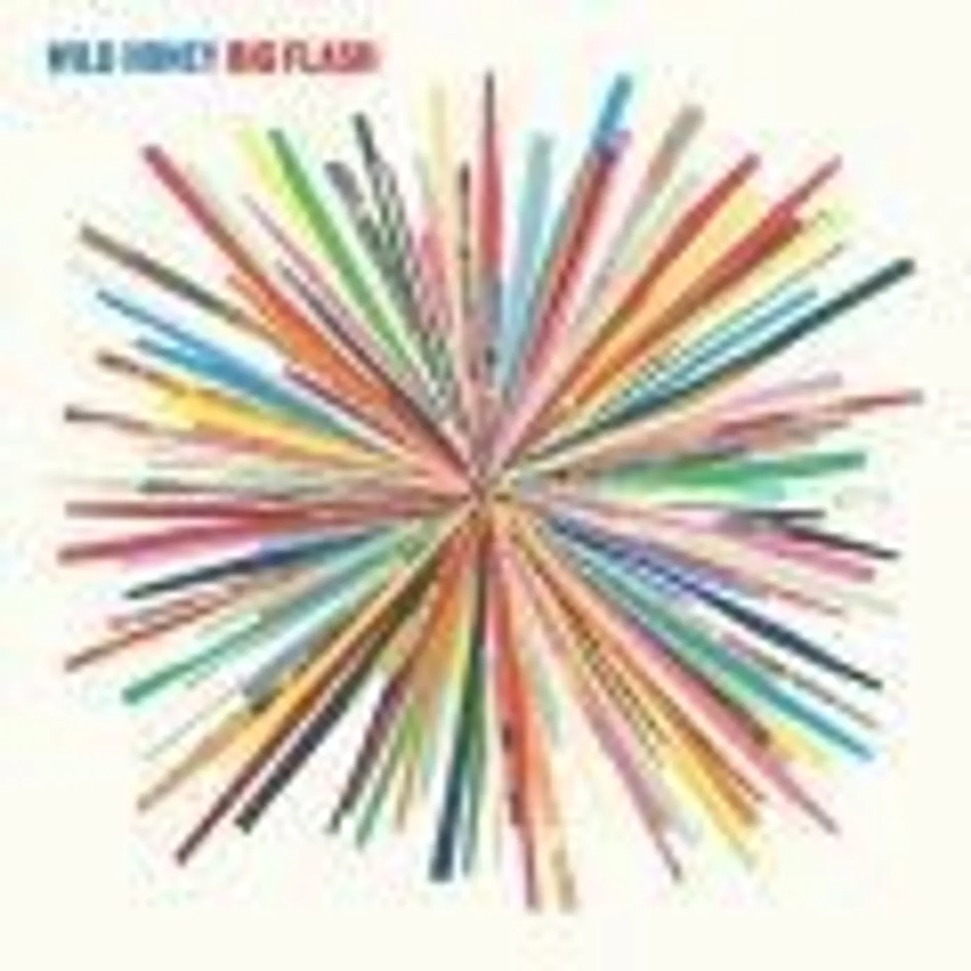 Wild Honey BIG FLASH Vinyl Record