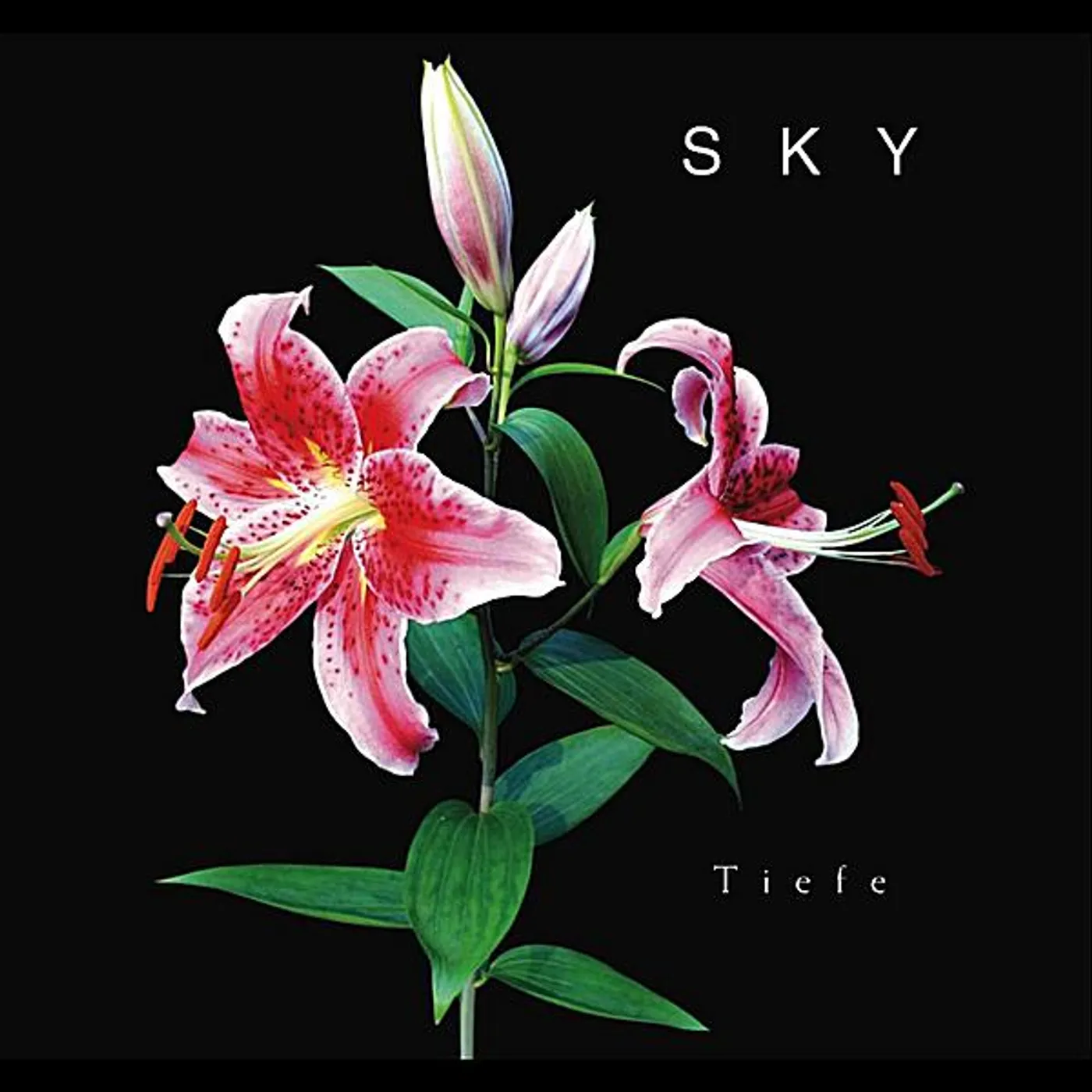 Sky TIEFE CD
