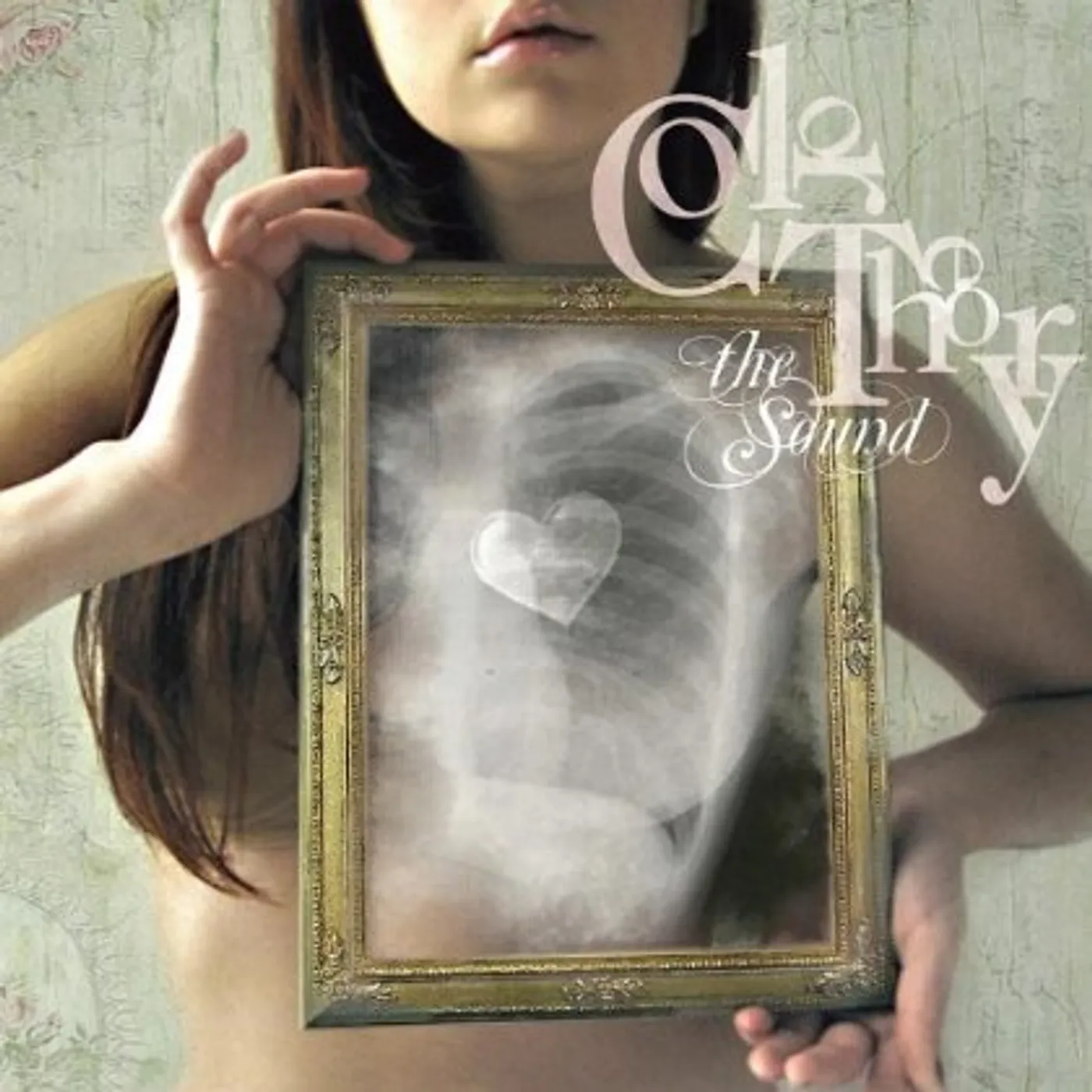 Color Theory SOUND CD